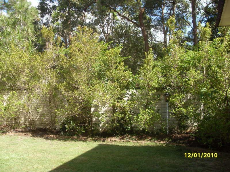 36 Kensington Way, Strathpine, QLD 4500