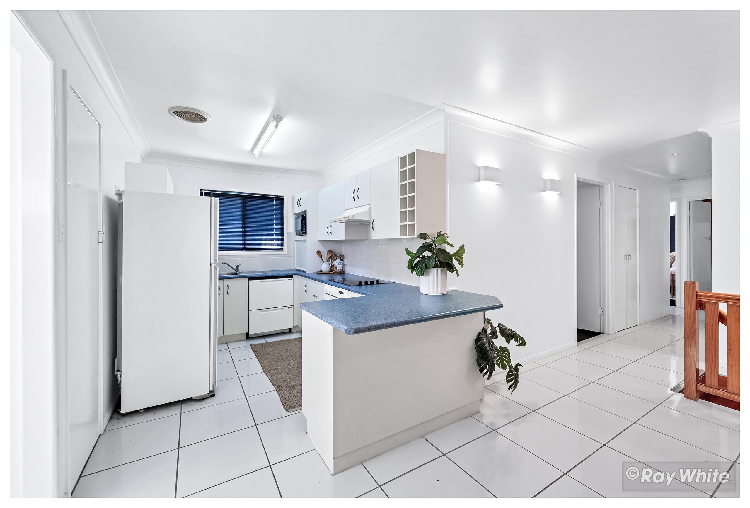 381 Philp Avenue, Frenchville, QLD 4701