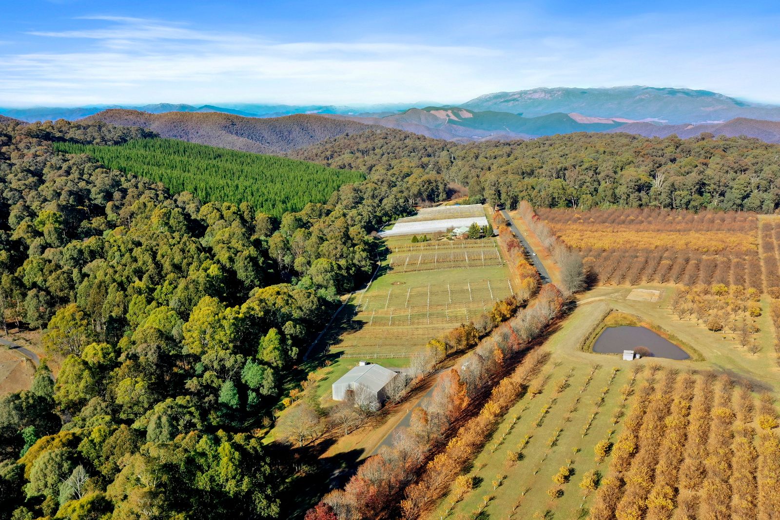 507 MyrtlefordStanley Road, Stanley Via, Myrtleford, VIC 3737 House