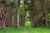 418 Kaiwaka Road photo 12