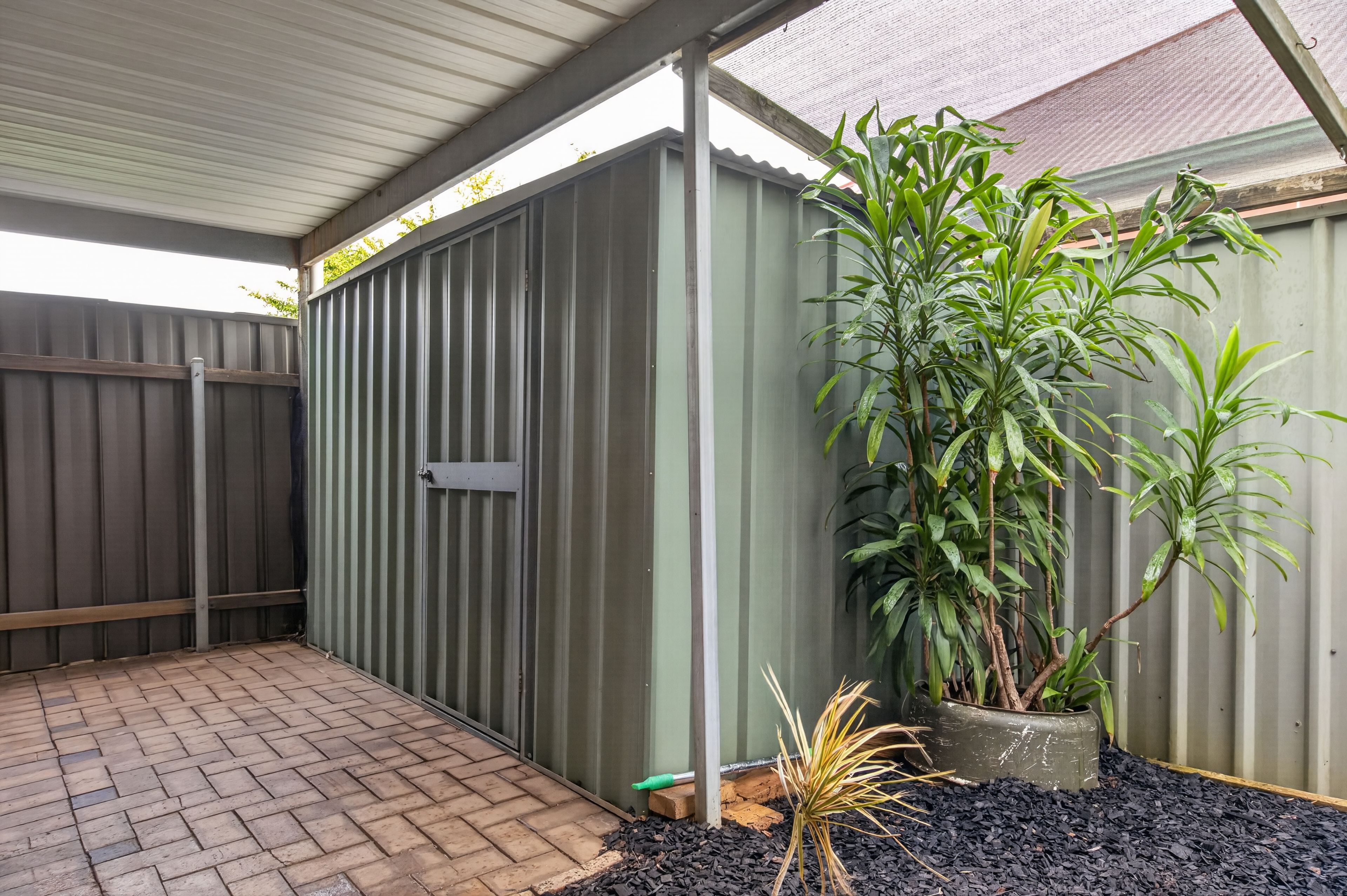 6/1105 North East Road — photo 11 of 13