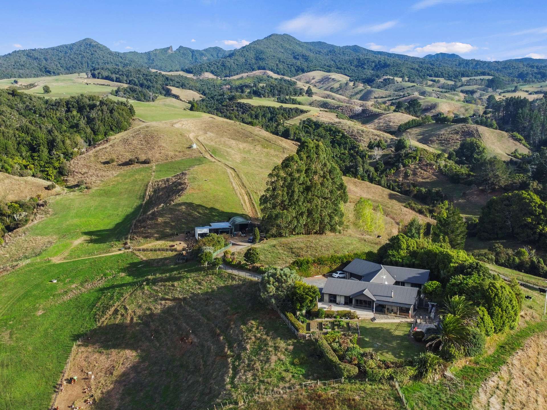 163 Arthur Road photo 31