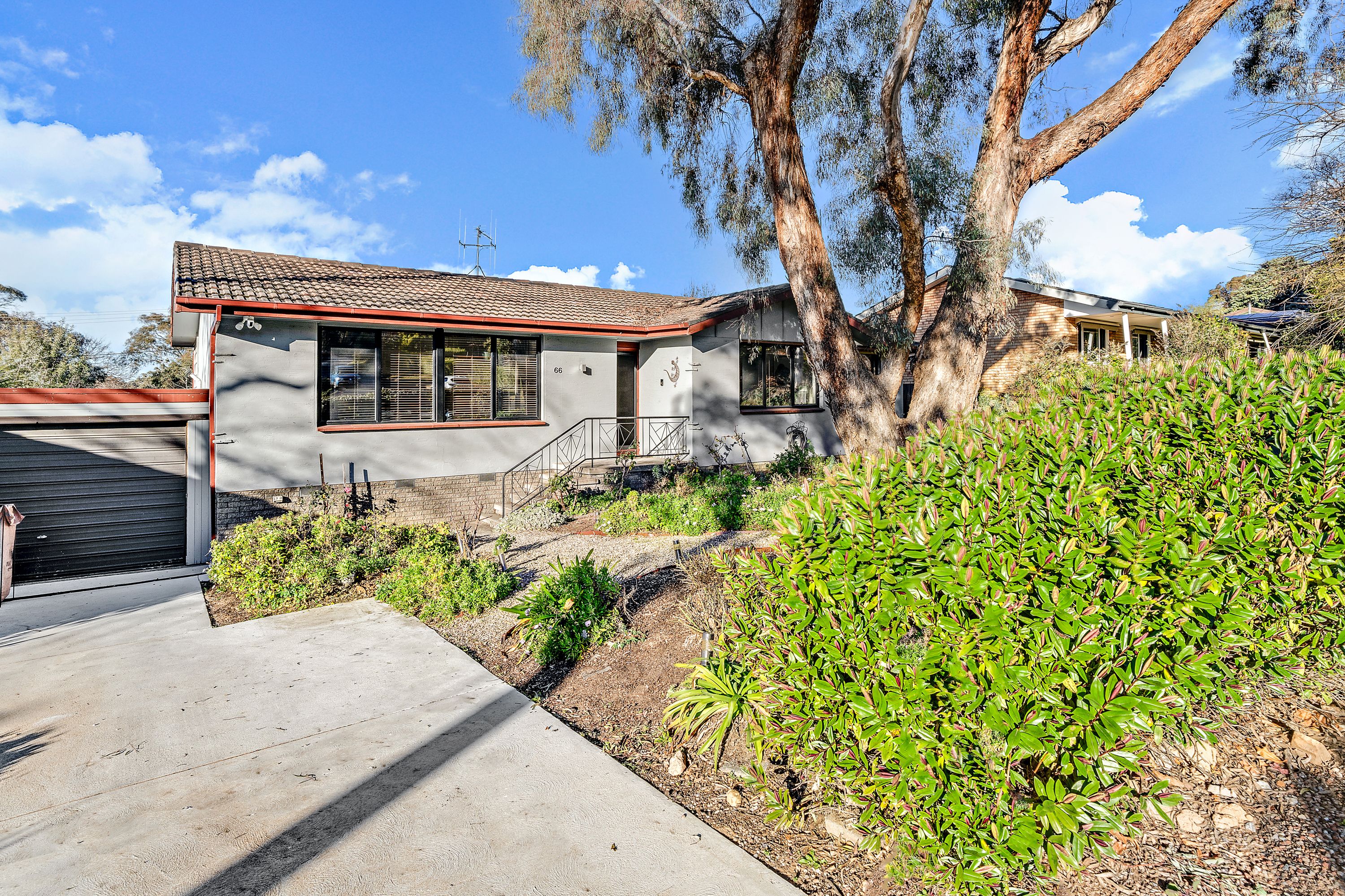66 MacKellar Crescent, Cook ACT 2614