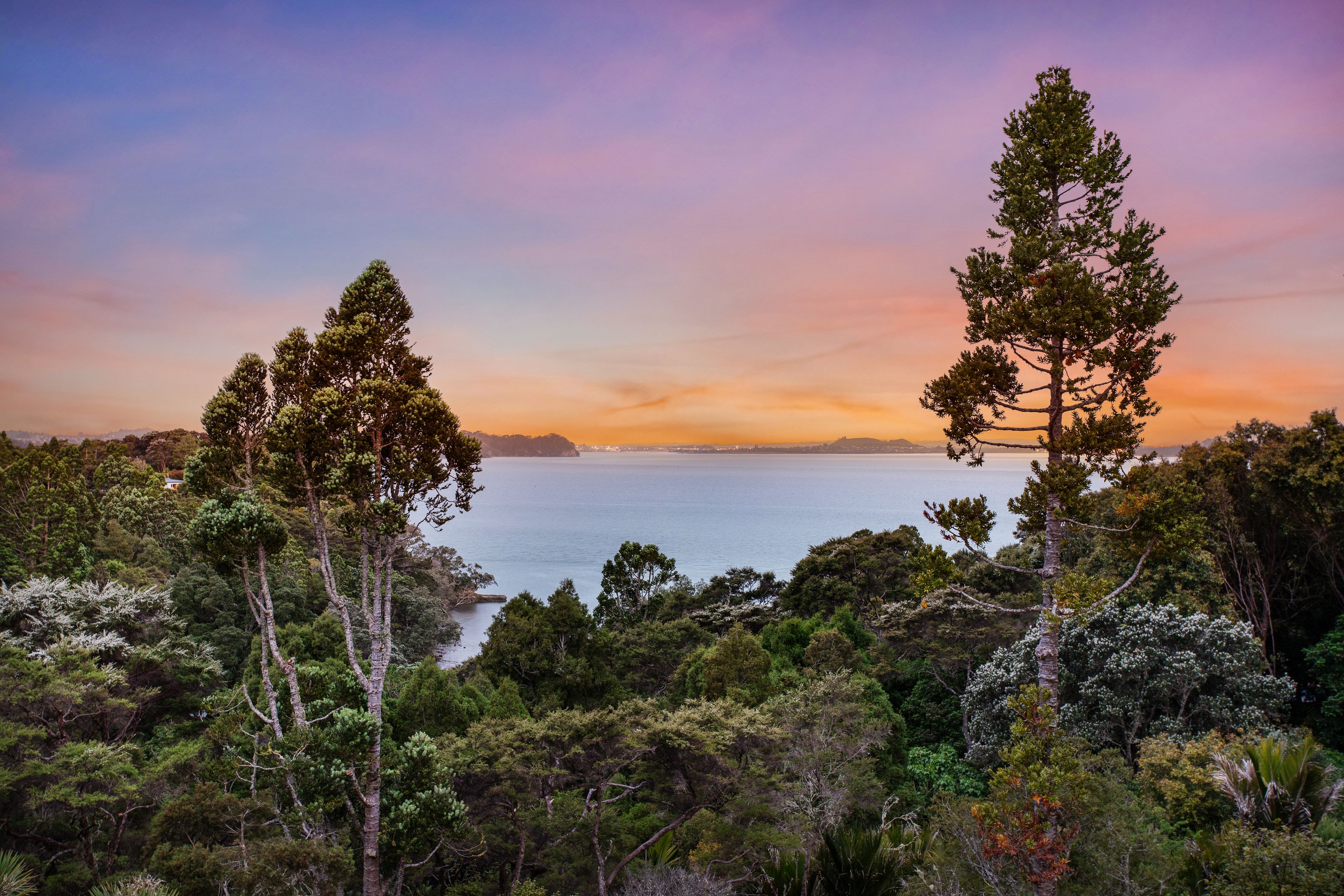 50 Tanekaha Road, Titirangi, Waitakere City