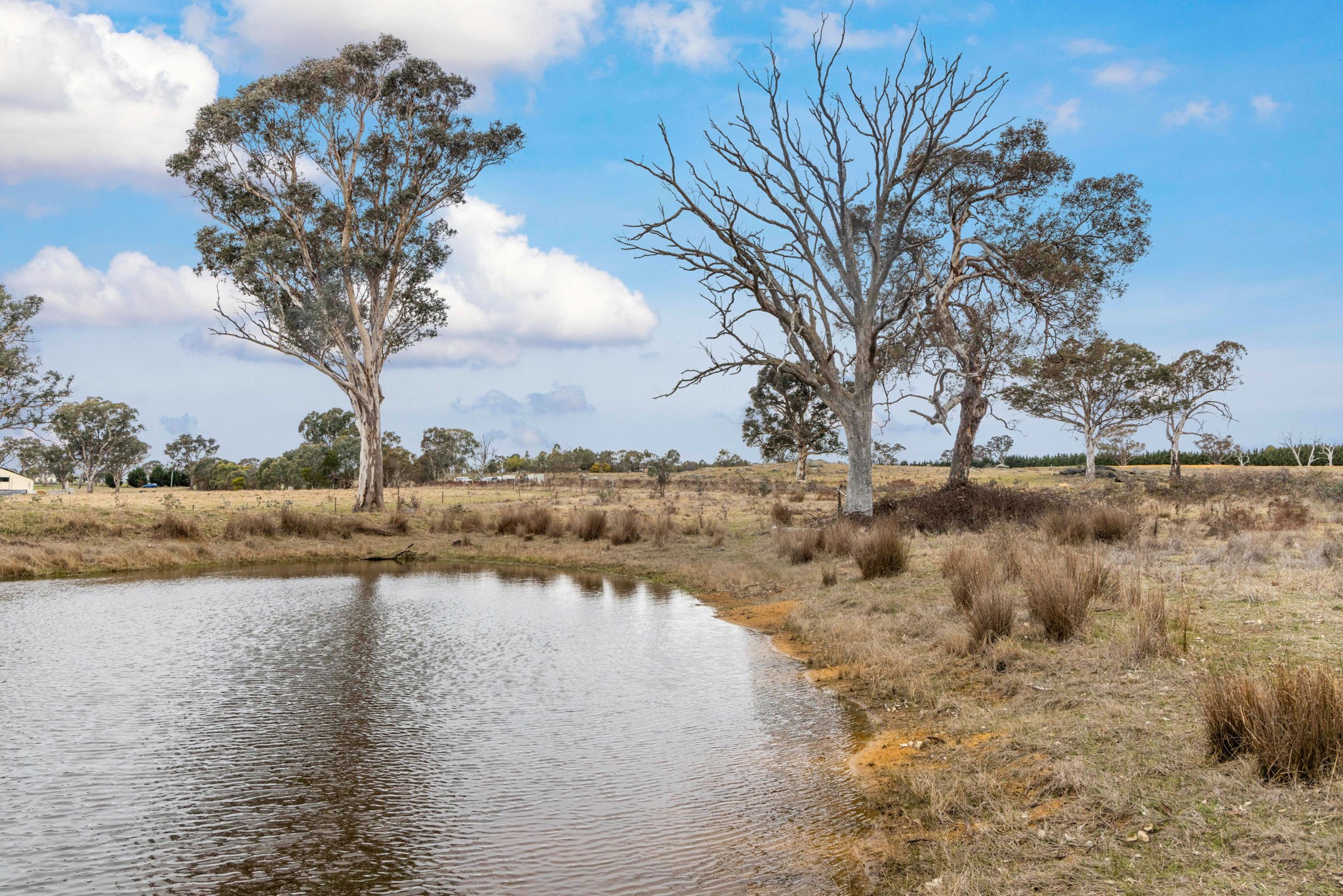 10 Ryslipp Drive, Murrumbateman, NSW 2582