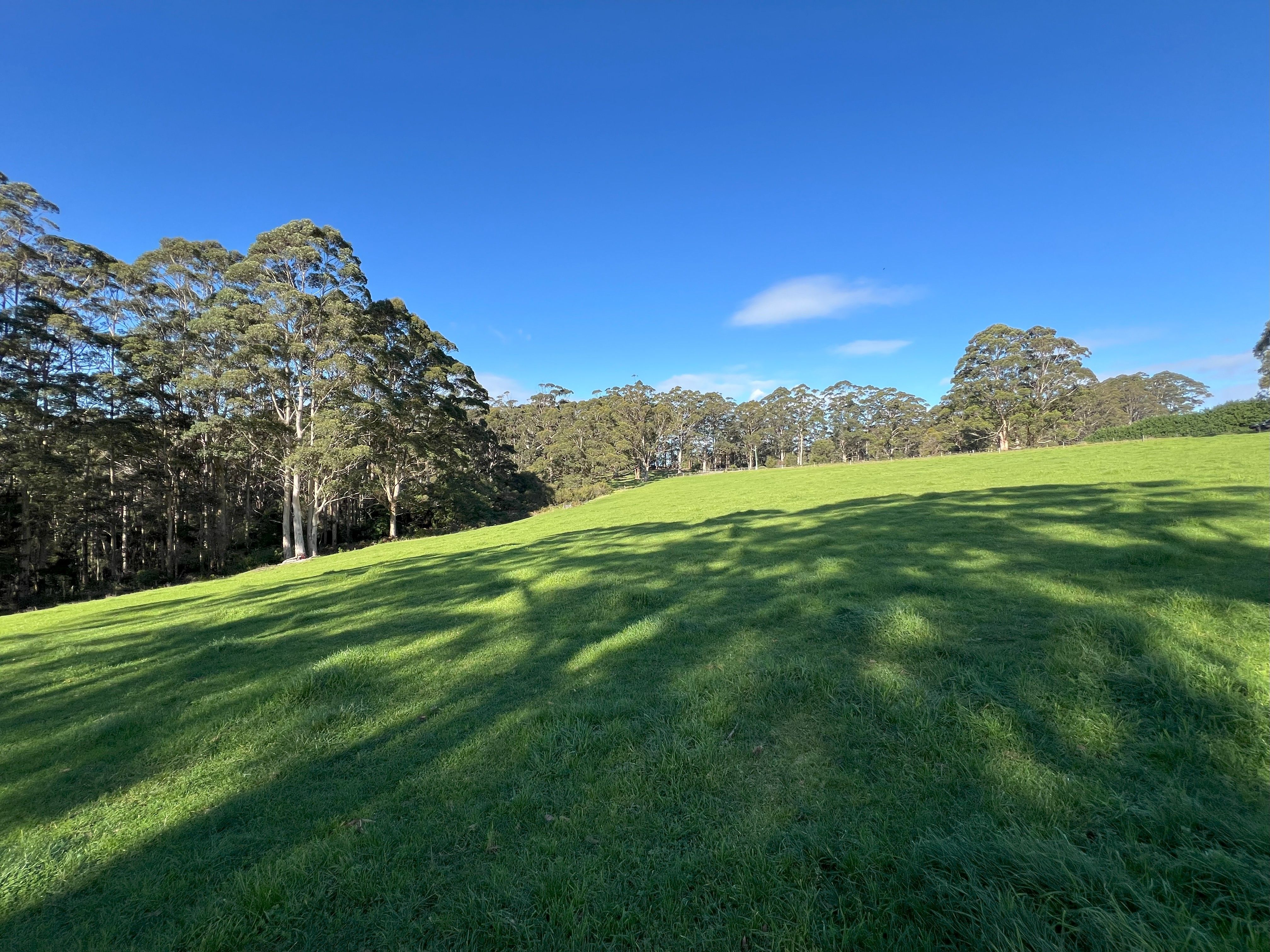 47 Pittam Way, Shadforth, WA 6333 - Sold Rural Lifestyle Property - Ray ...