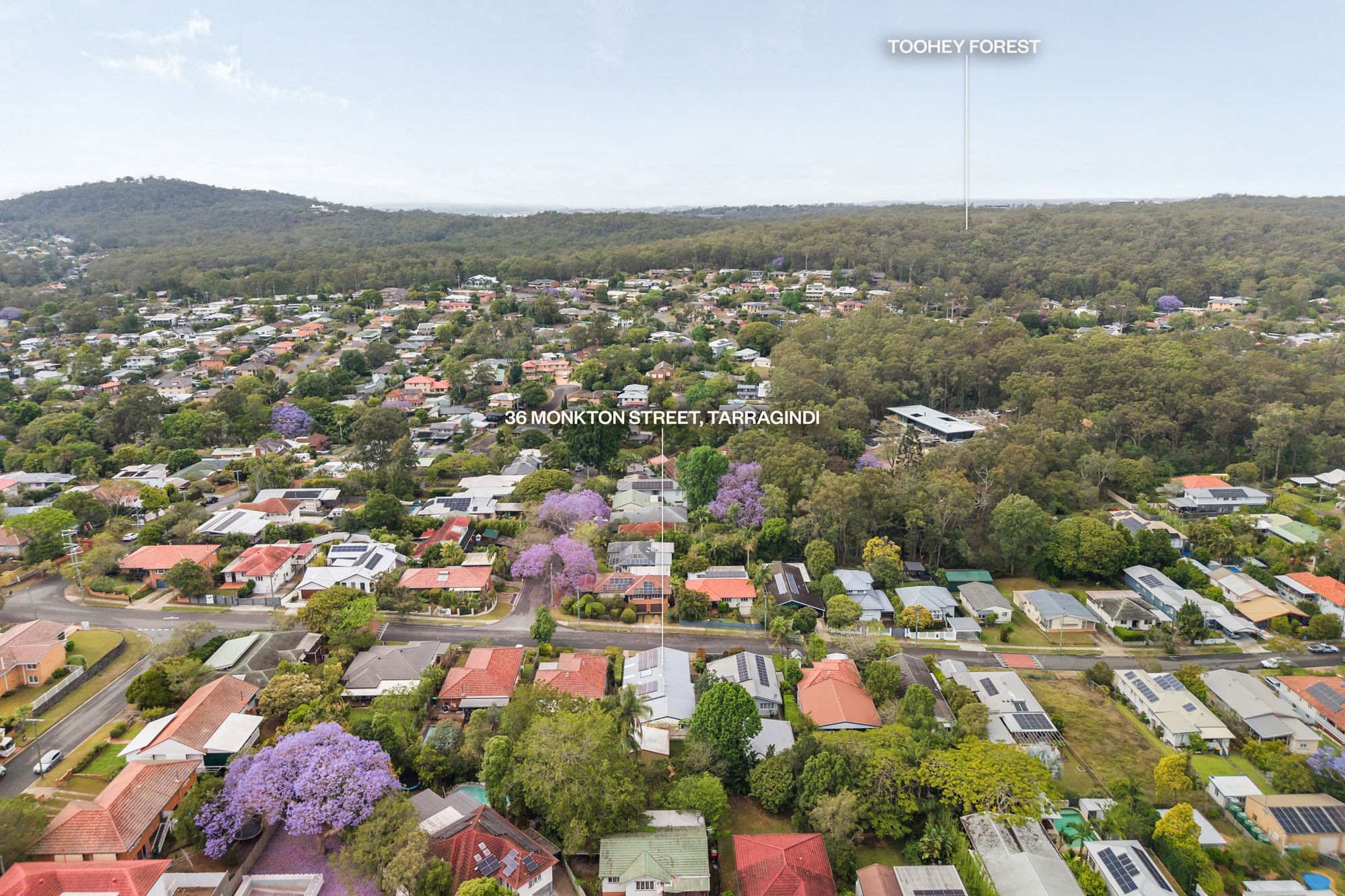 36 Monkton Street — photo 16 of 17