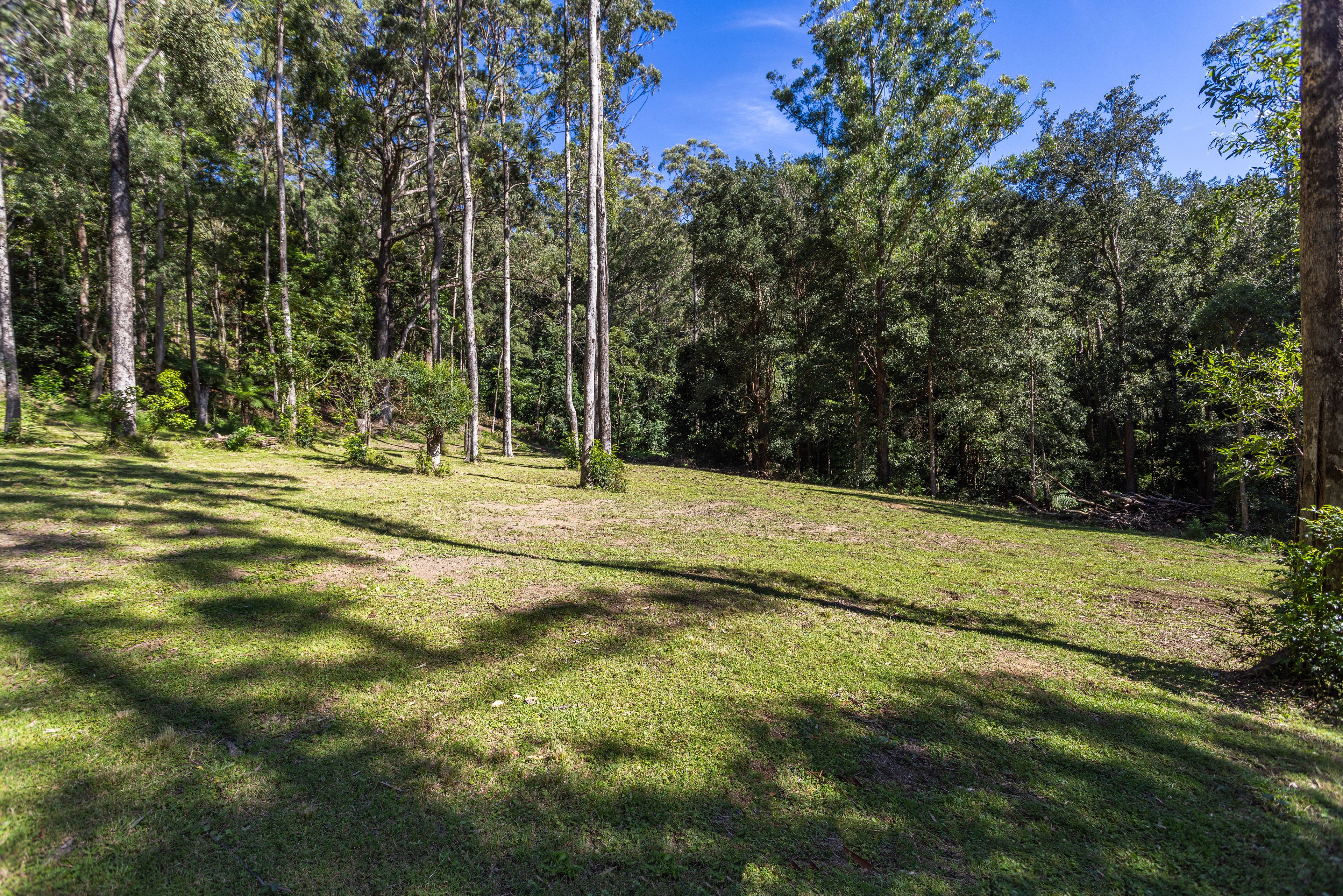 'The Ridge Farm' Lots 22 & 102 Free Selectors Road — photo 11 of 23