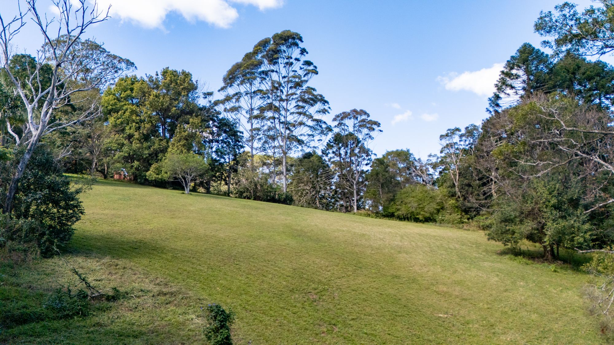 9 Vale End — photo 7 of 20