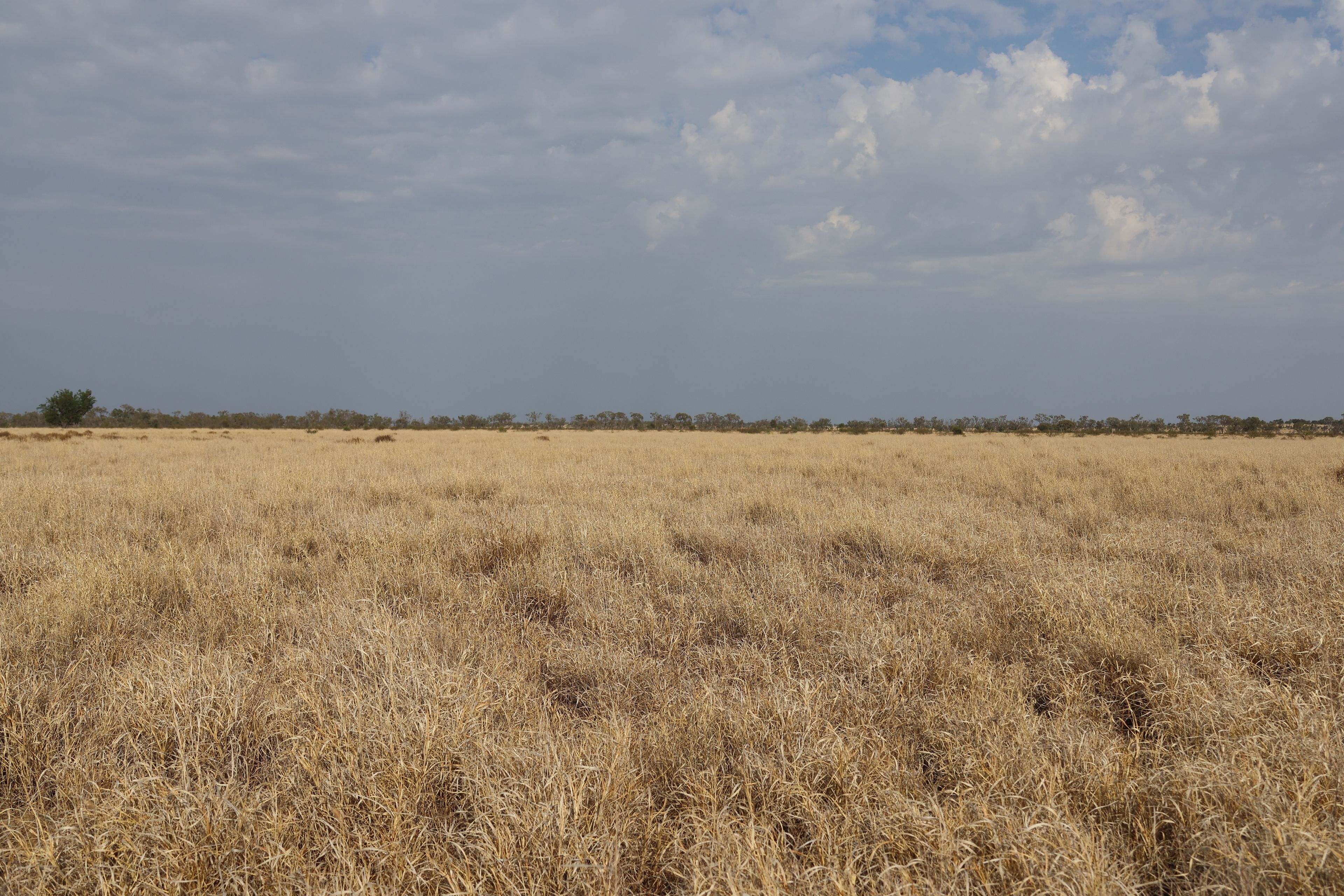 "Paradise Downs" 2085 Blackall Jericho Road, Blackall, QLD 4472