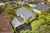 77 Beauchamp Street photo 26