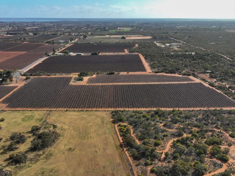 Section 862 Swinstead Road, Loveday, SA 5345