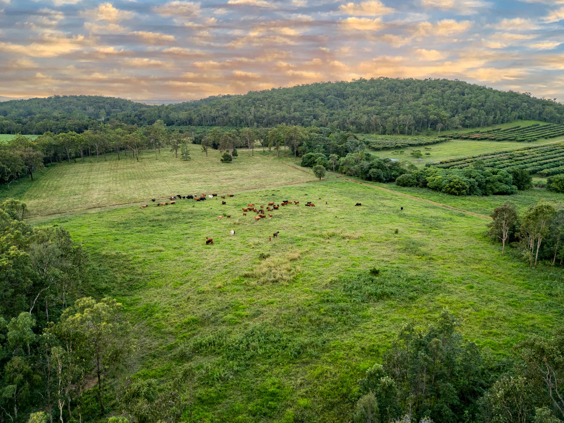 24 Petersen Road, Koumala, QLD 4738