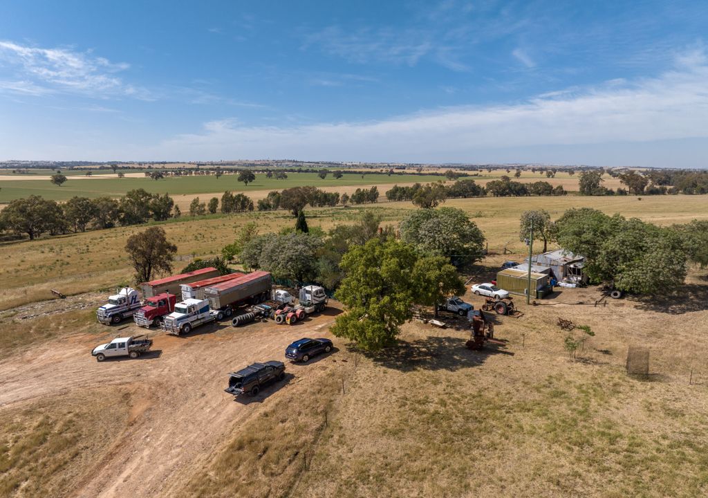468 Goldfields Way, Old Junee, NSW Home For Sale • Ray White