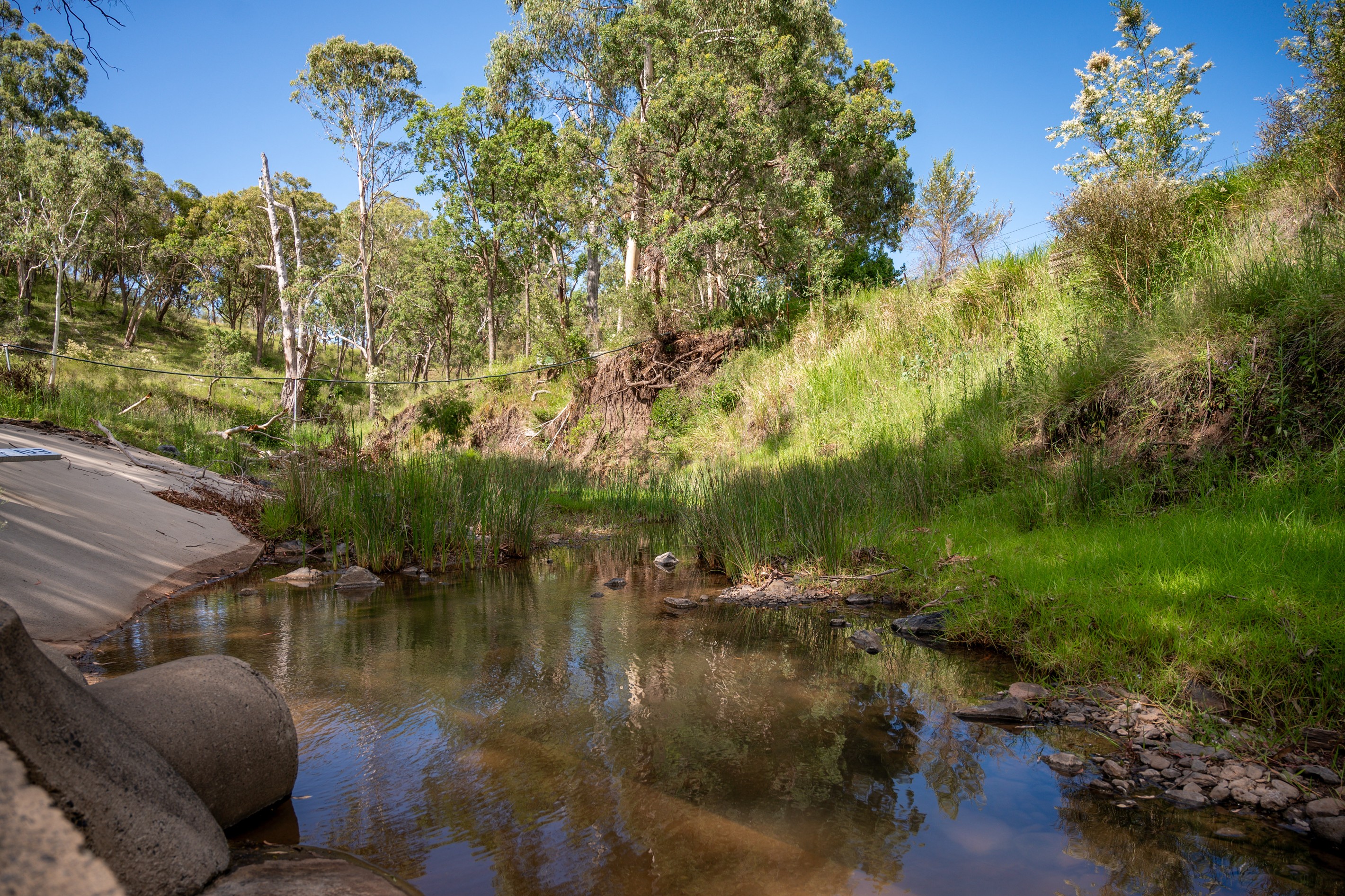 1006 North Branch Road, Goomburra, QLD 4362