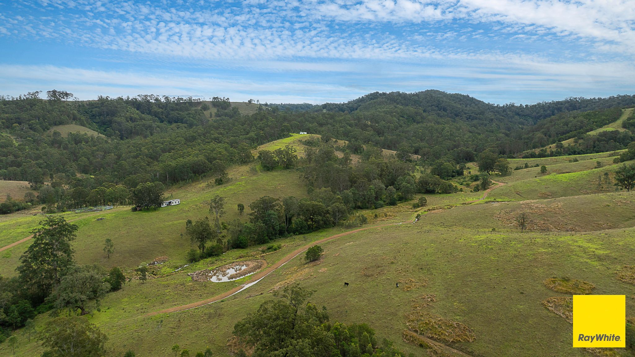 260 Dog Trap Creek Road — photo 10 of 24