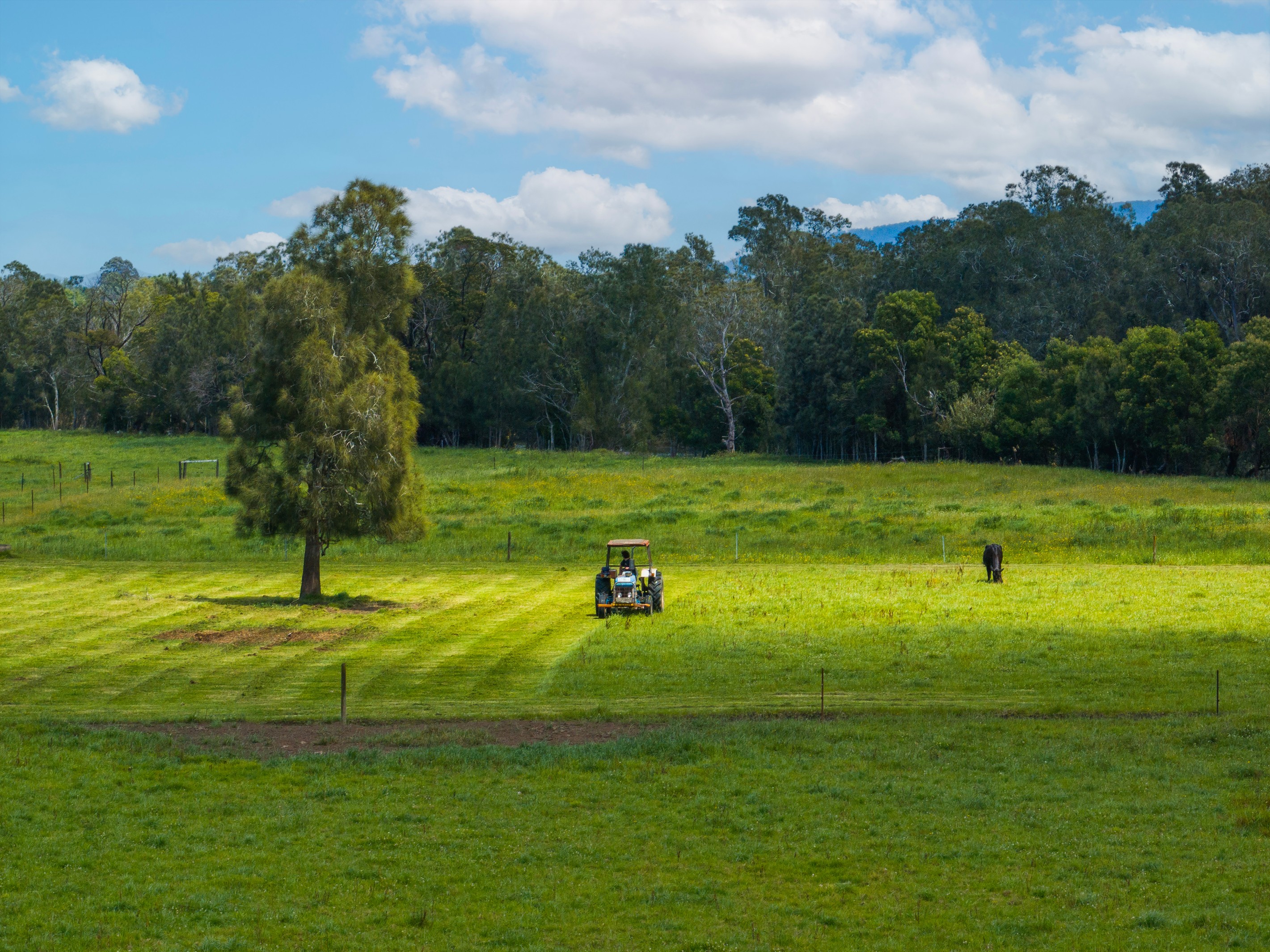 639E coolangatta Road, Berry, NSW 2535