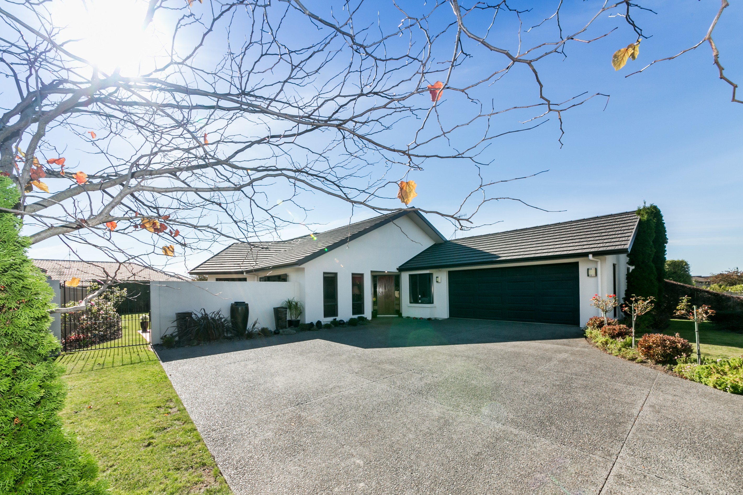 17 Merlot Drive, Greenmeadows, Napier City