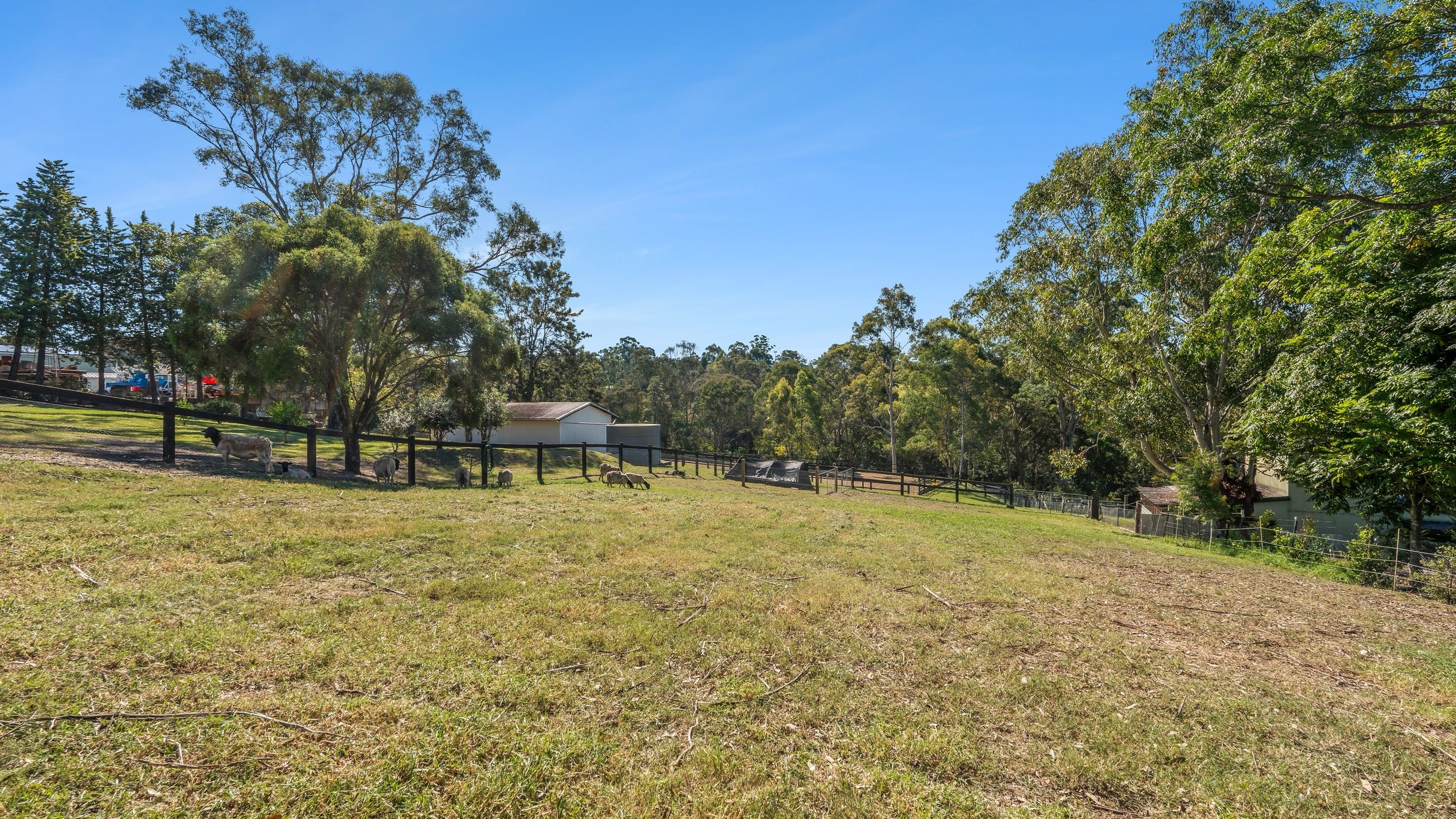 95 Single Ridge Road, The Slopes, NSW 2754