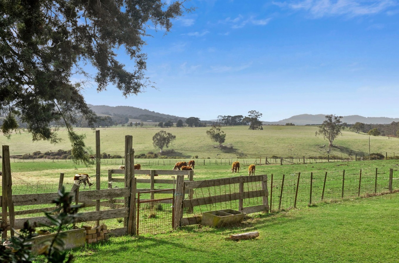 24 Egans Lane, Newham, VIC 3442