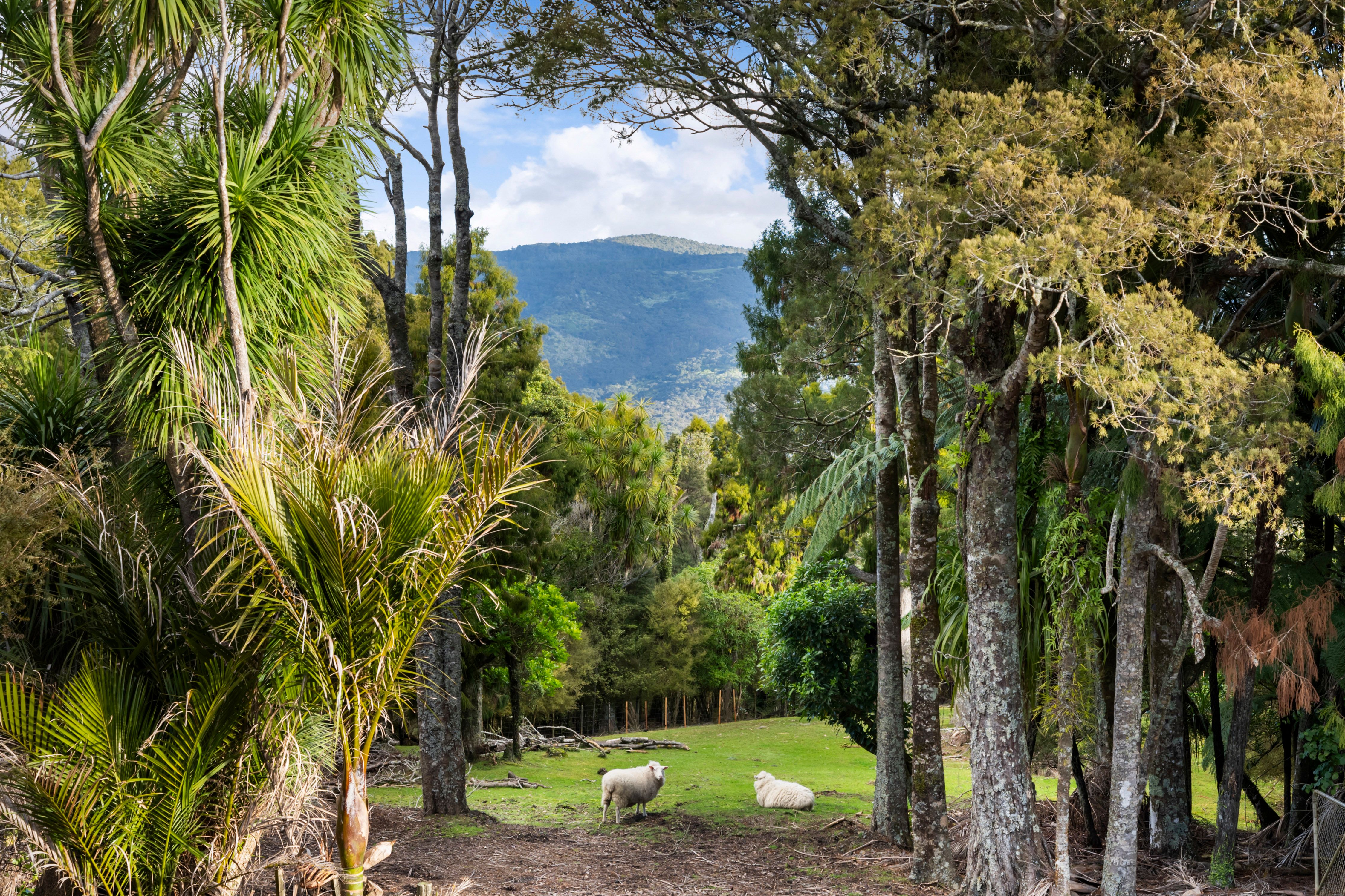 429 Wairere Road, Waitakere, Waitakere City