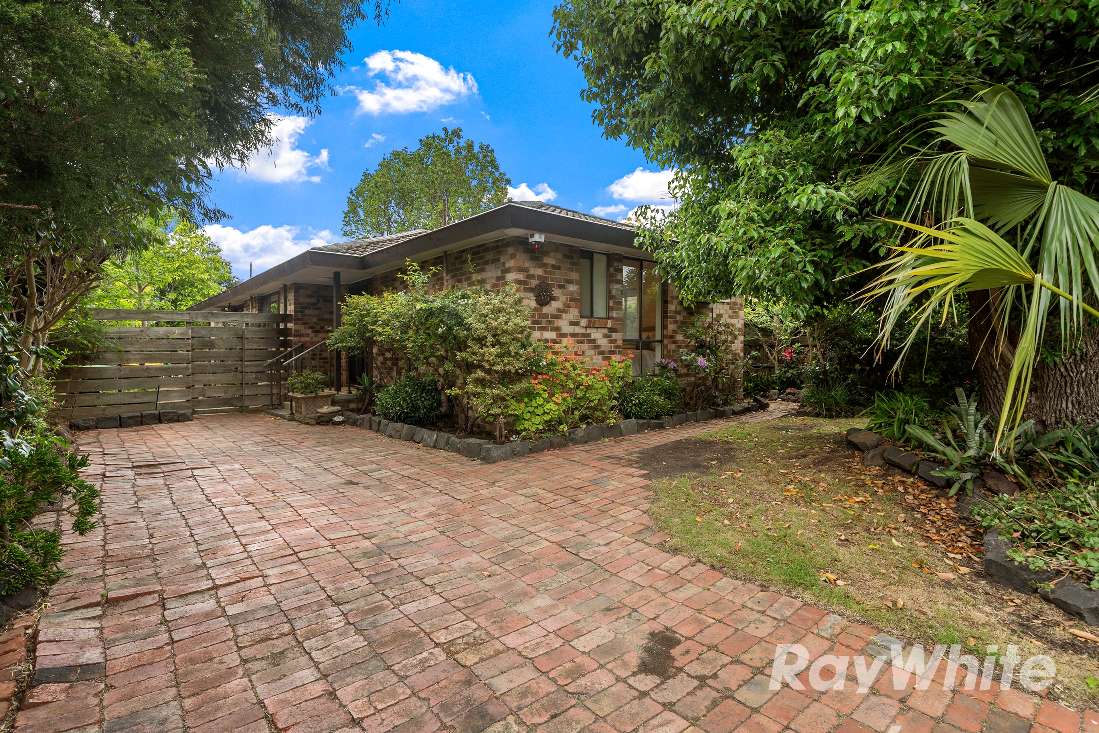 9 Mcpherson Avenue — photo from Ray White Carnegie