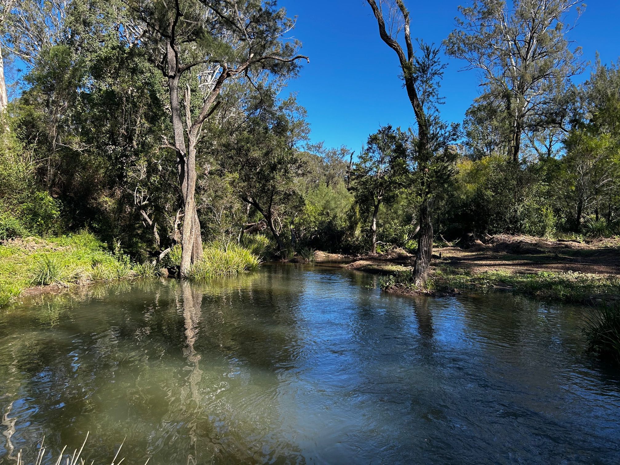 476 Paddys Flat Road, Tabulam, NSW 2469