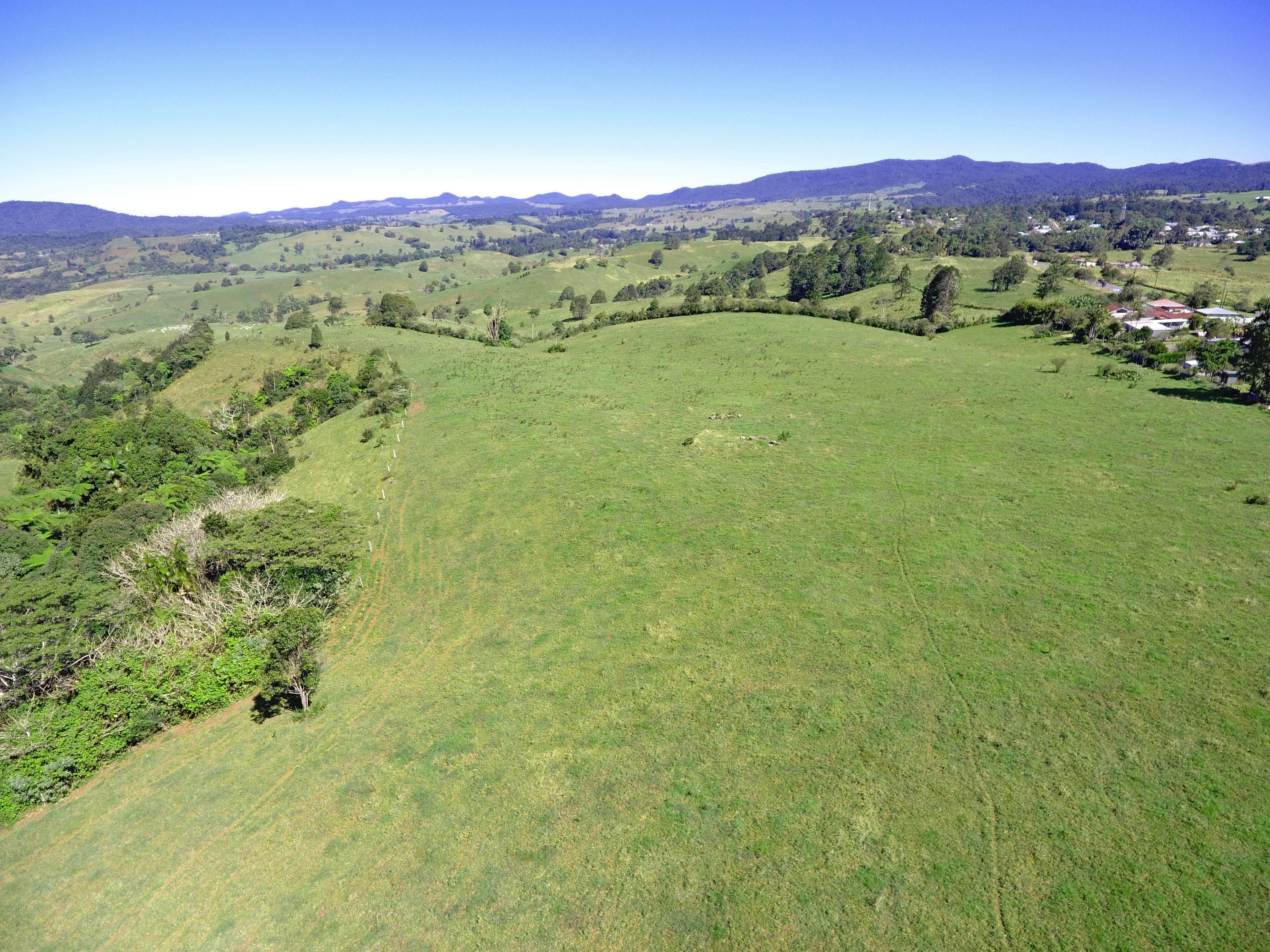 Millaa Millaa, QLD 4886