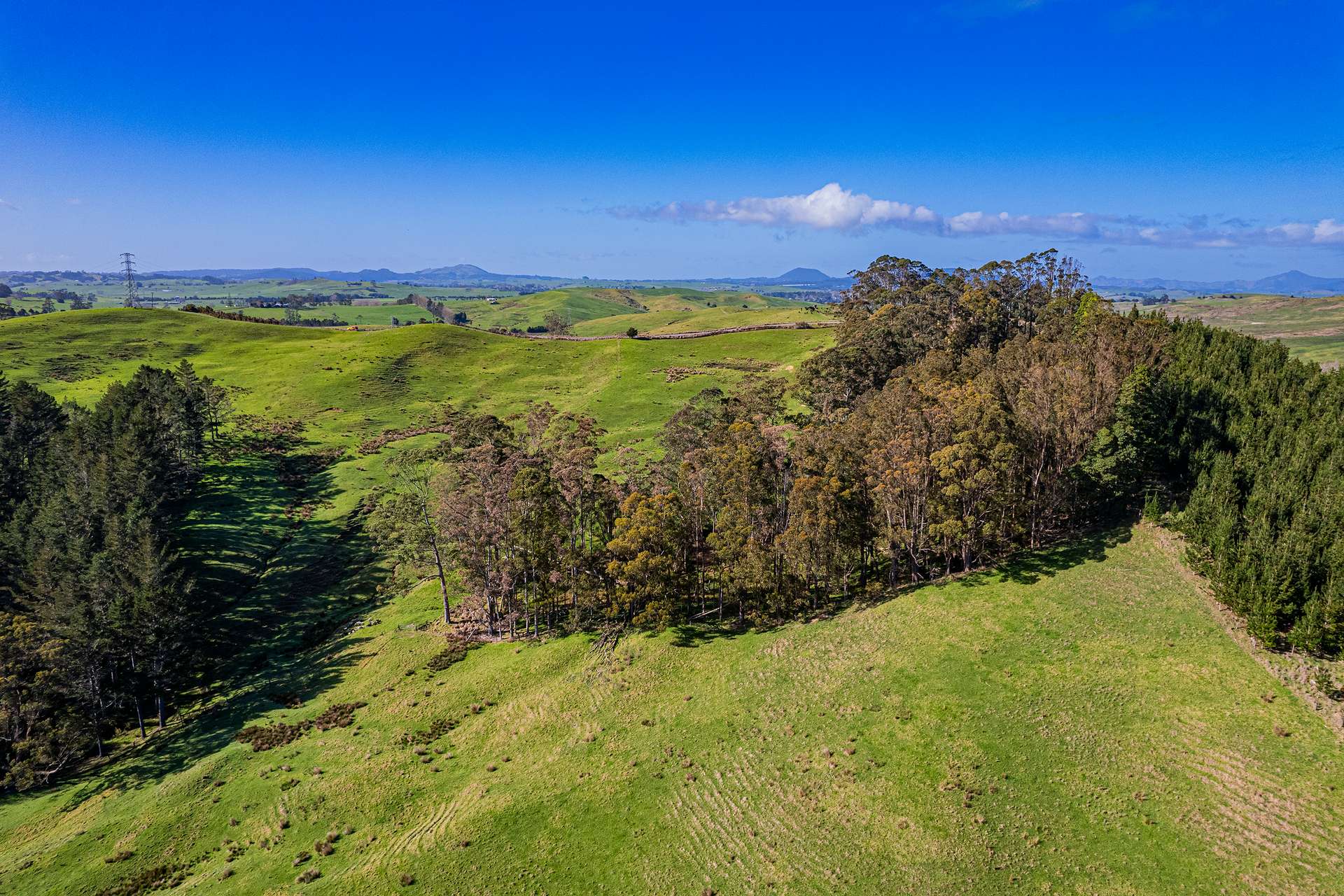 0 Cnr Milne and Aponga Stream Road photo 17