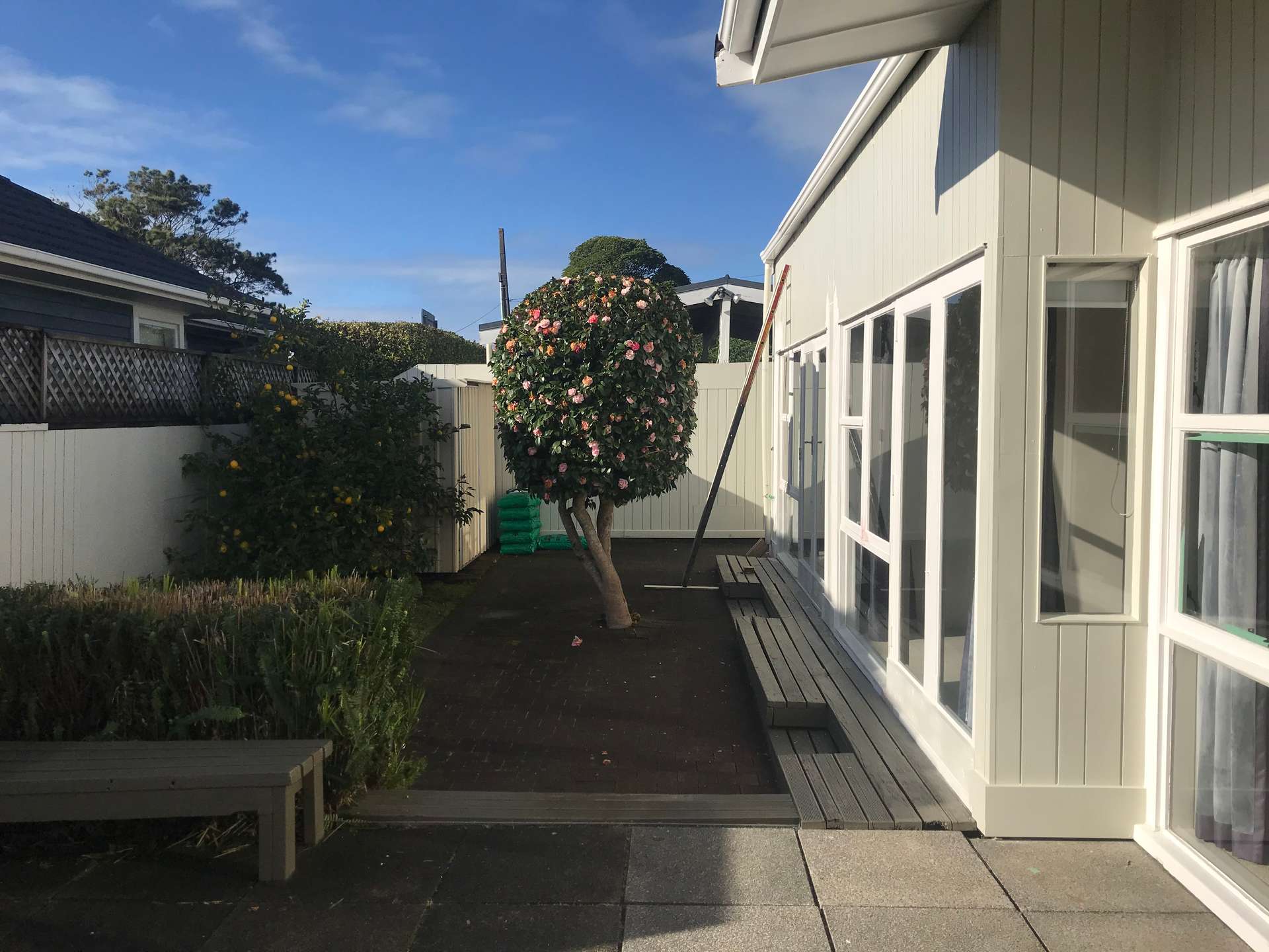 321 Kohimarama Road photo 5