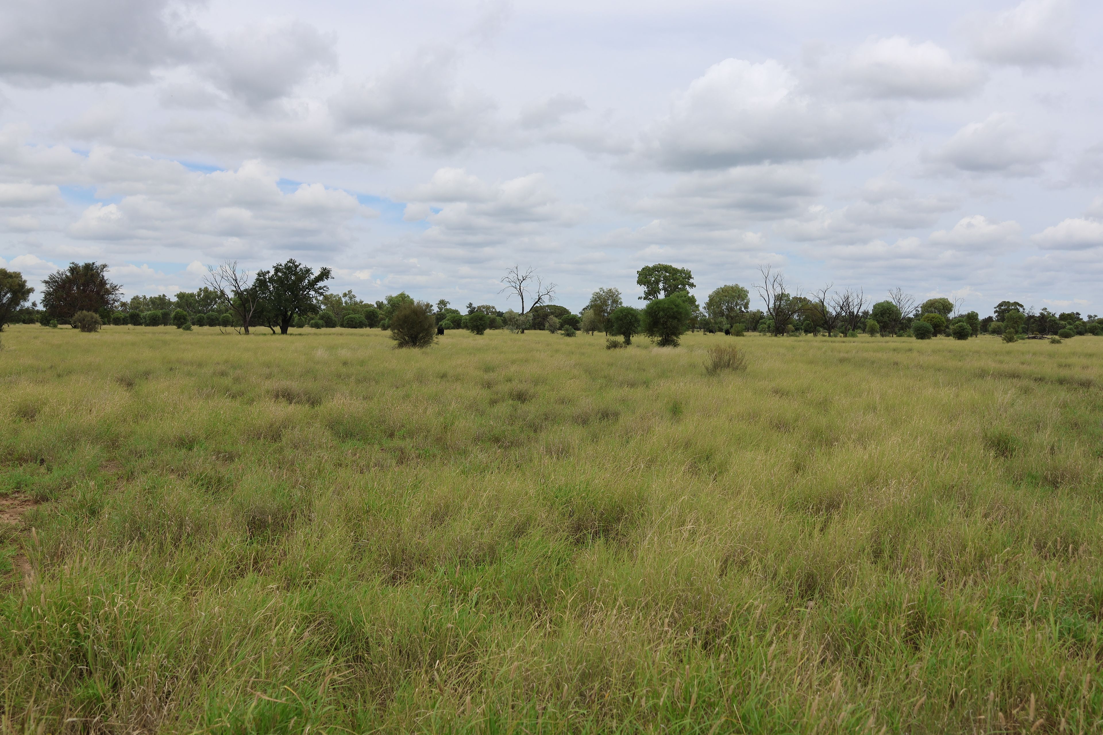 "Swaylands" Lot 7 Ravensbourne Road, Blackall, QLD 4472 Sold Rural