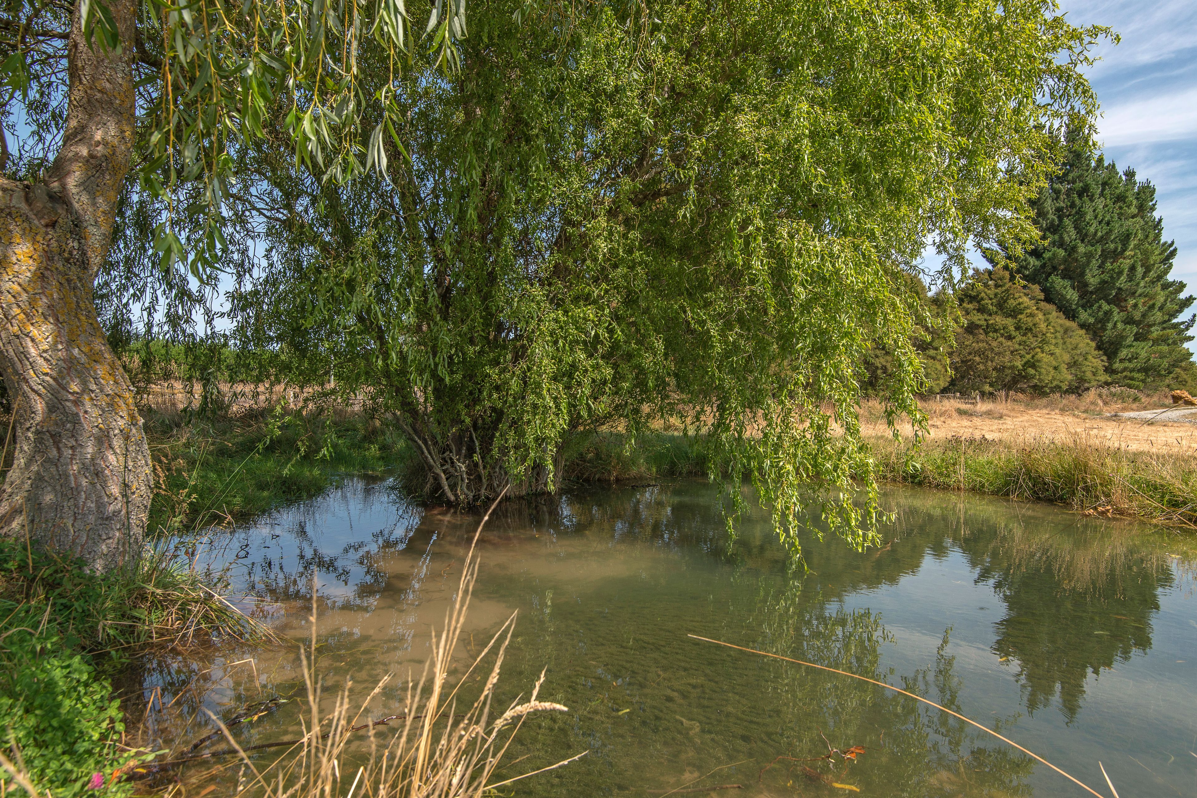 336 Main Race Road, Eyrewell, Waimakariri District