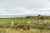 178 The Cliffs photo 7