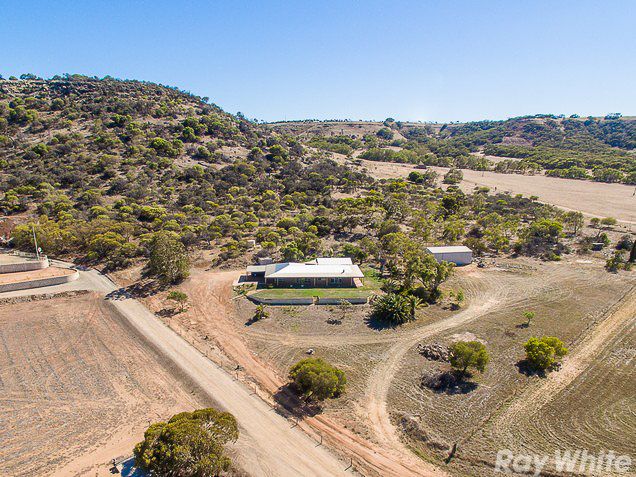 36 Mills Place, Waggrakine, WA 6530