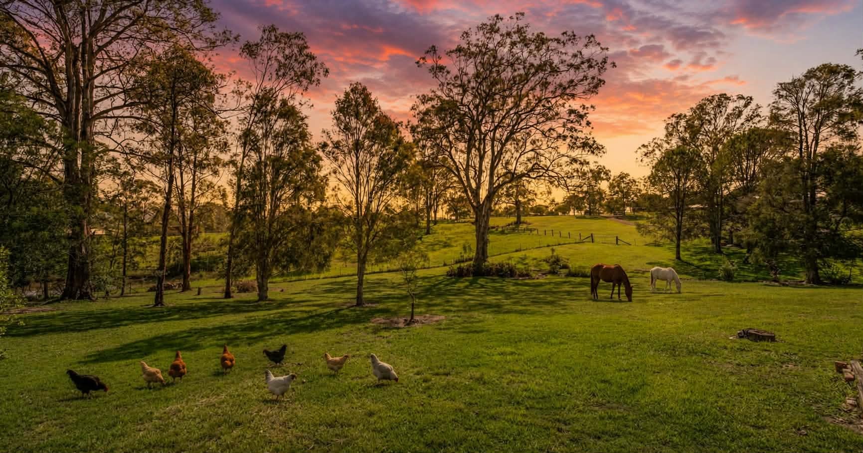 51 Argyle Street, Barrington, NSW 2422