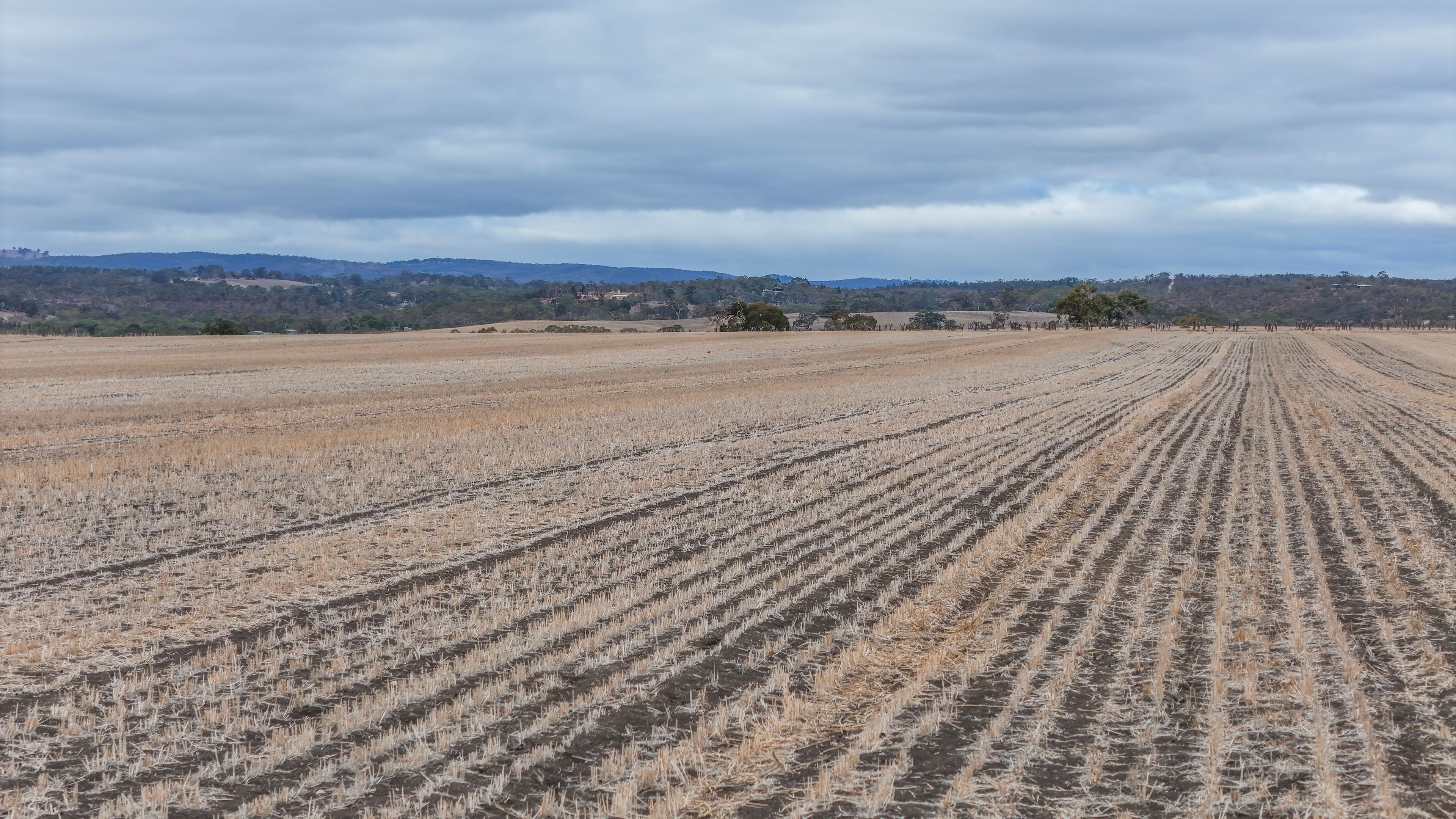 'Martins' Balmoral Road, Cockatoo Valley, SA 5351