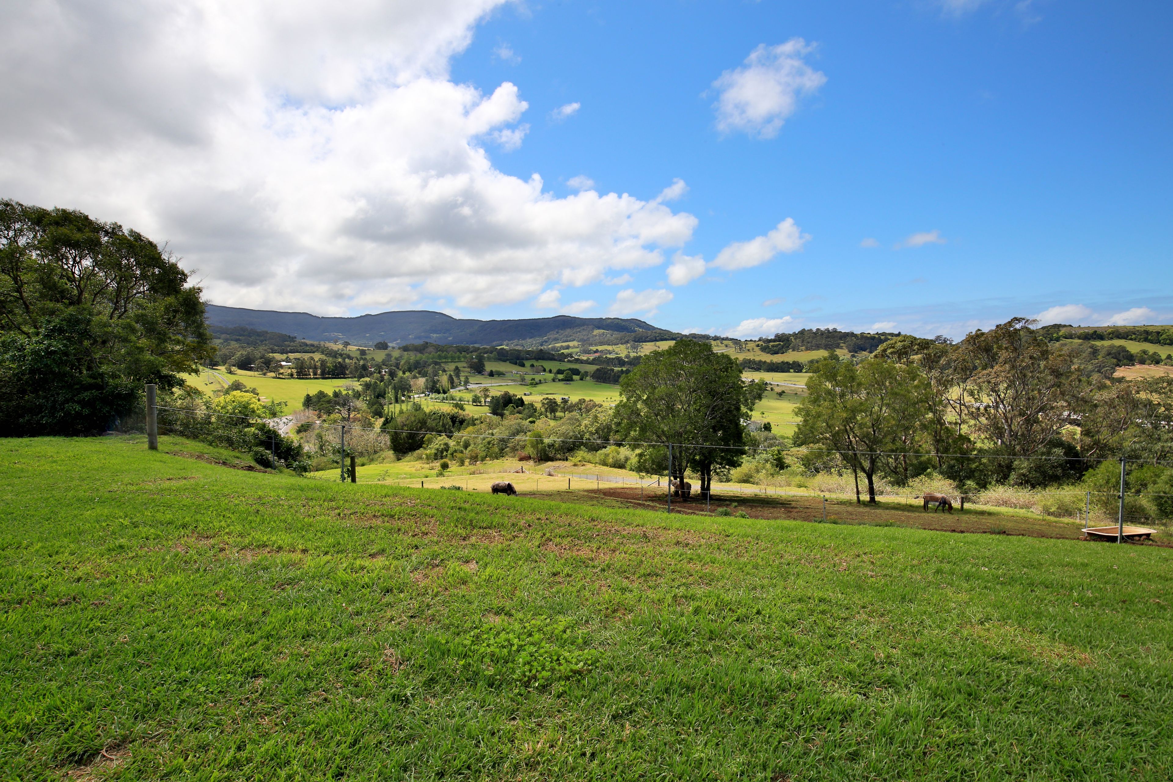 10 Tomlins Road, Broughton Village NSW 2534