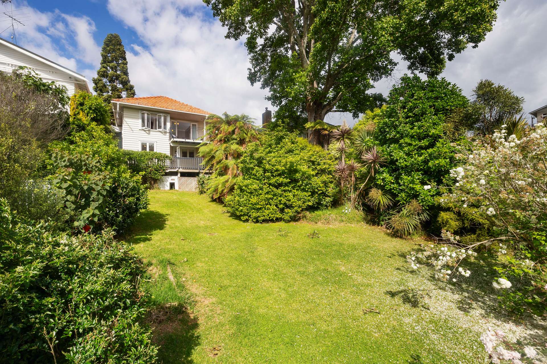 56 Mount Albert Road photo 27