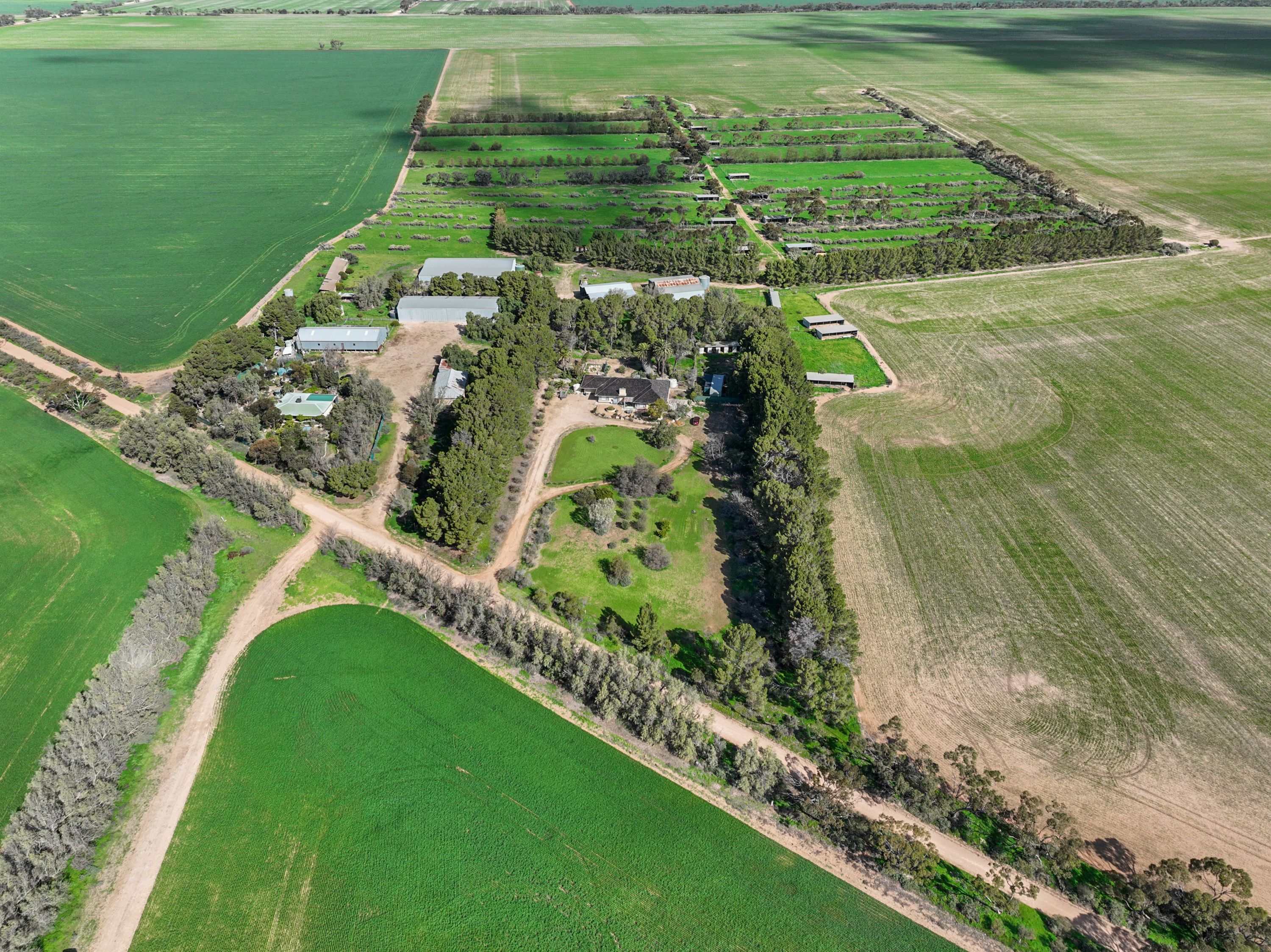 382 Rodda Road, Boors Plain, SA 5554 - Sold Rural Cropping Property ...