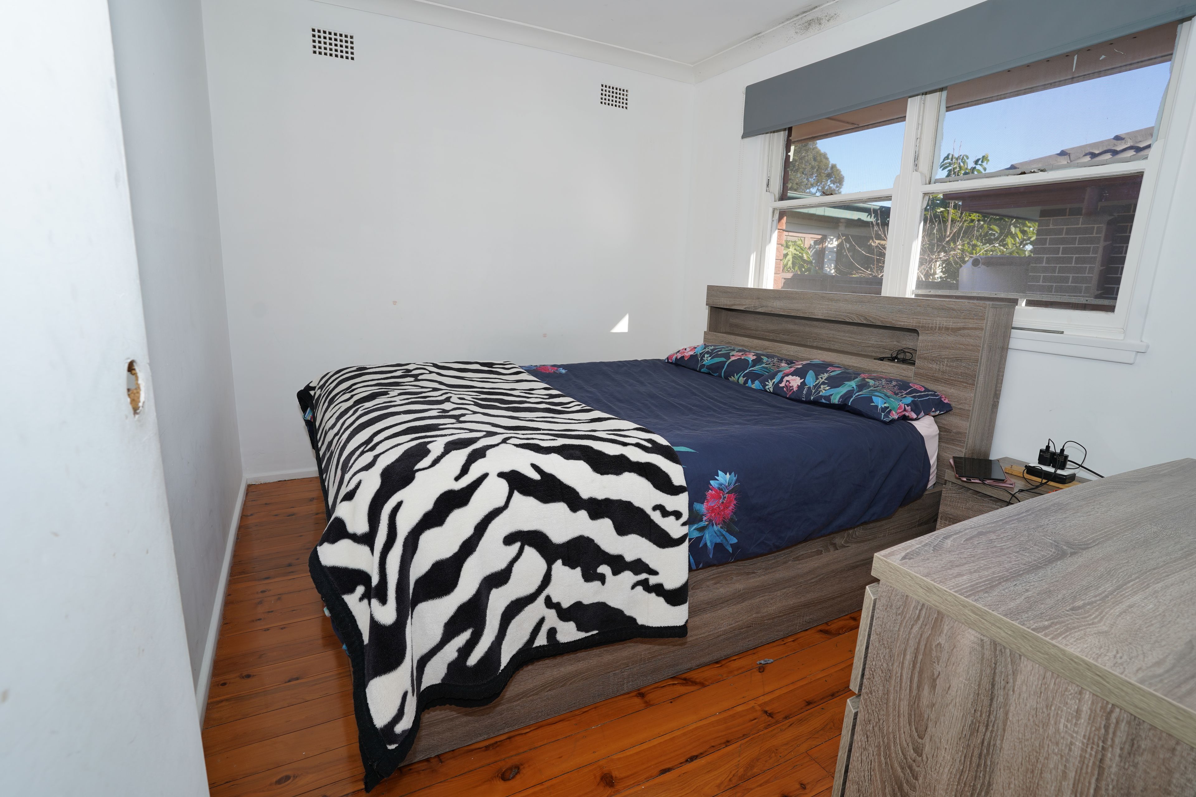 3 Edward Place, Canley Heights, NSW 2166