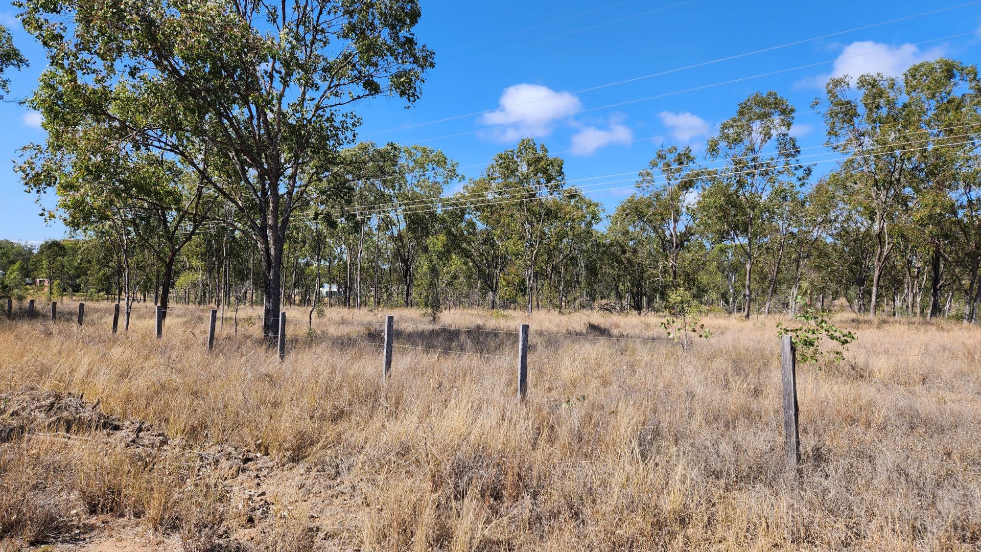 91101 Queen Street, Gayndah, QLD 4625 Land for Sale Ray White