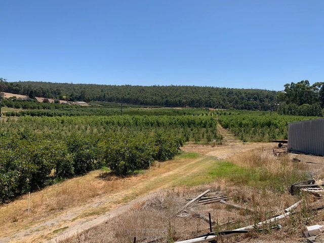 211 Pickering Brook Road, Pickering Brook, WA 6076 Sold Rural