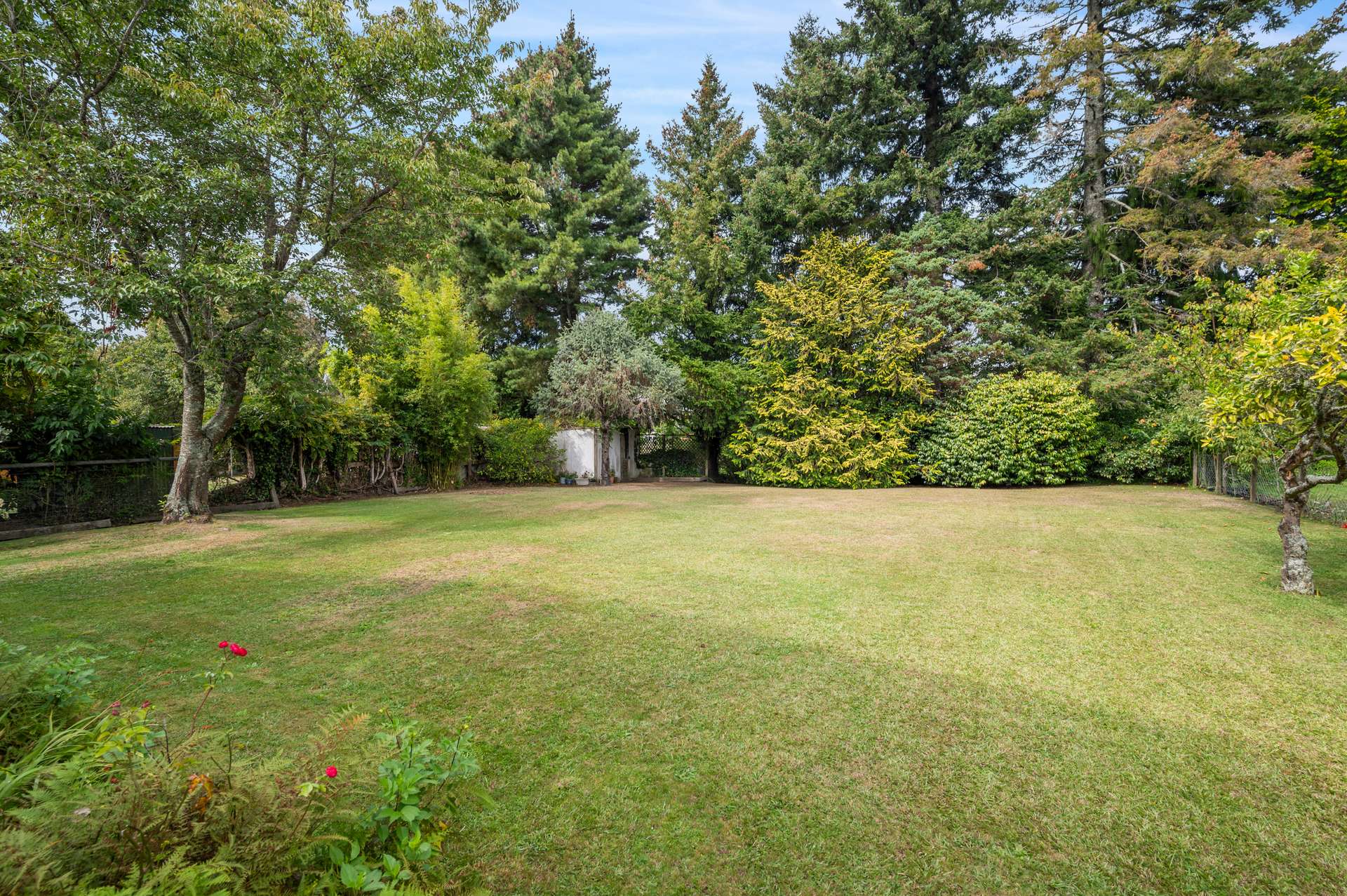 19 Darroch Street photo 18