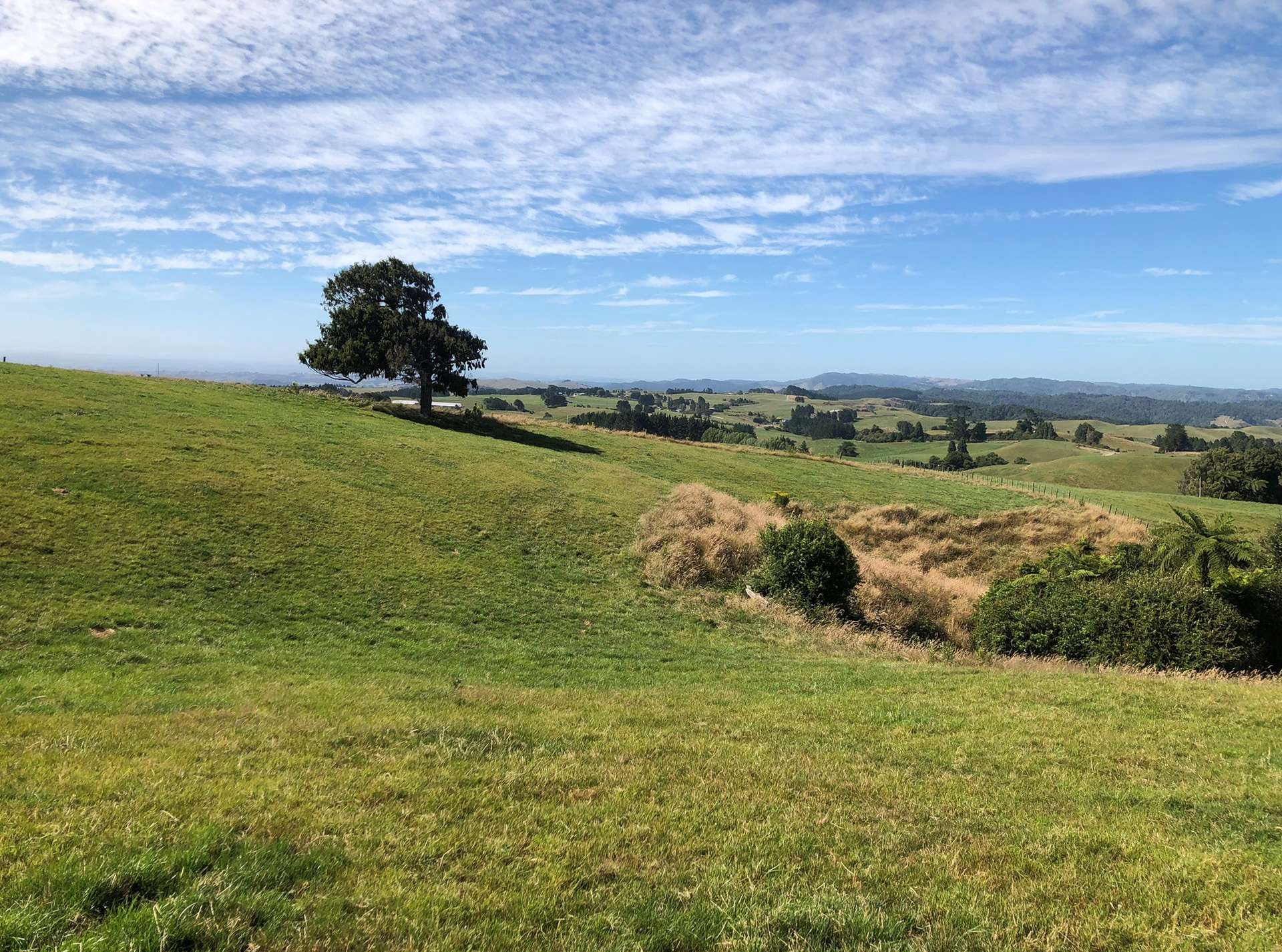 Lot 2/44 Te Rauamoa Road photo 3