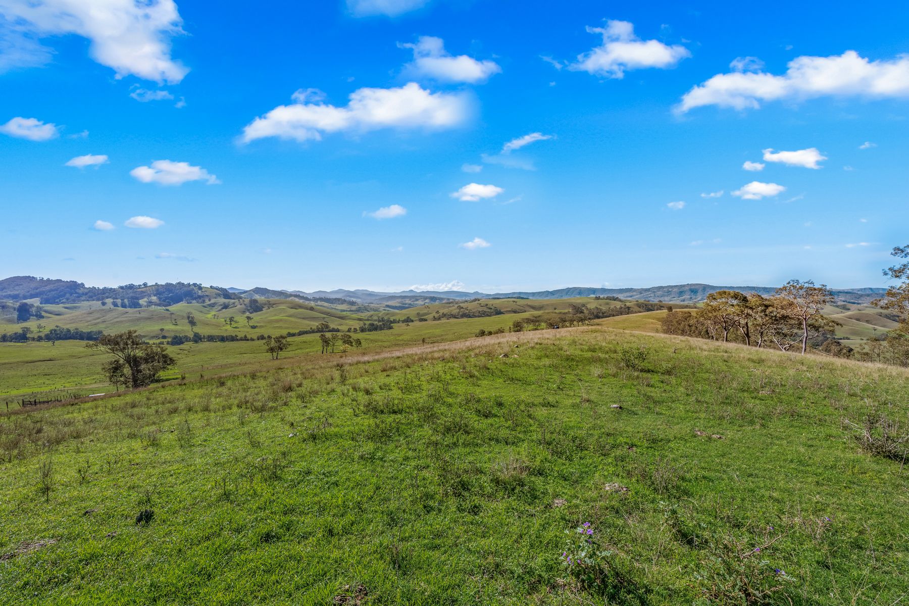 Off Goorangoola Road Greenlands — photo 5 of 19