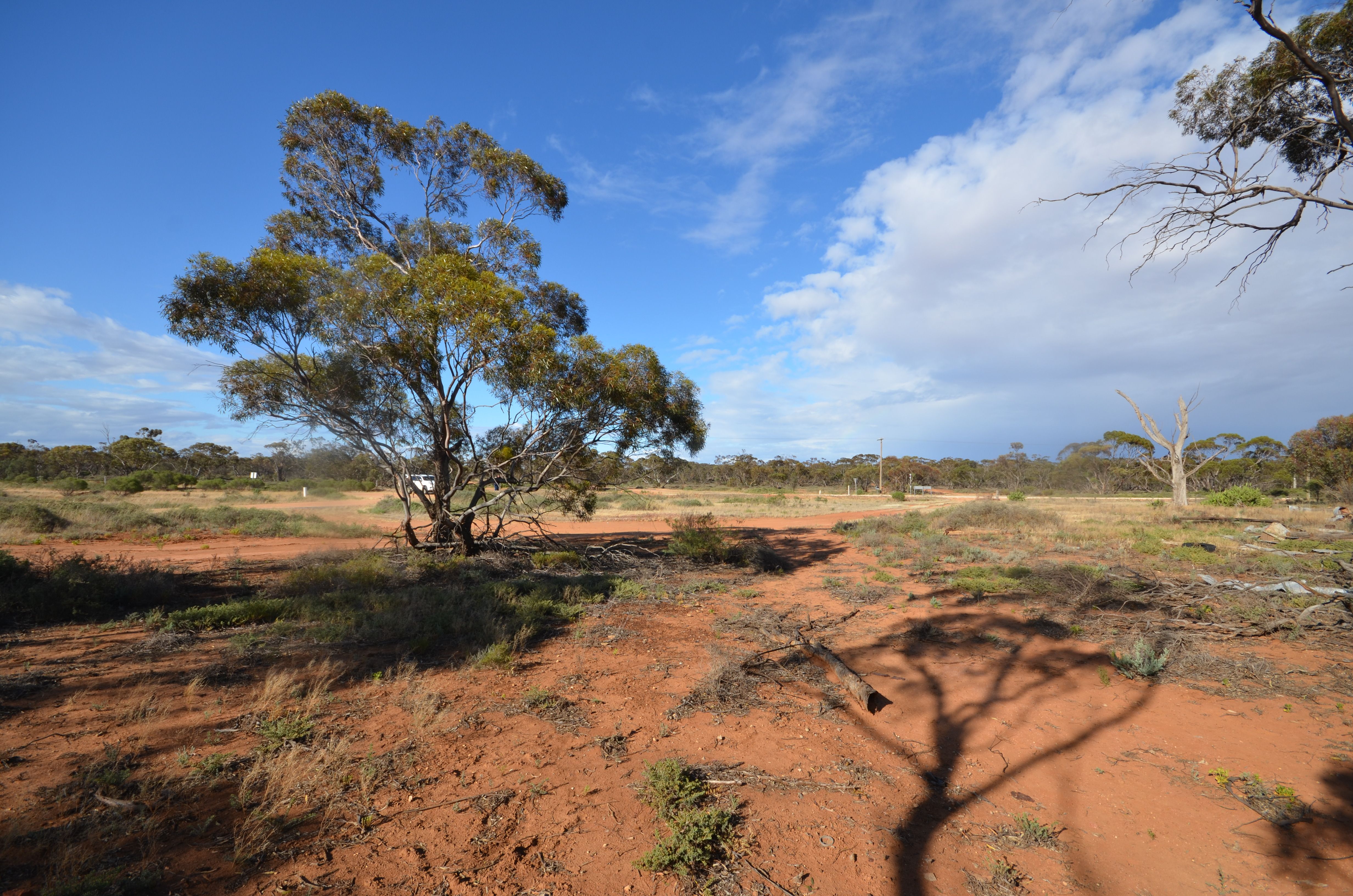 CA 10 Robinvale-Sea Lake Road, ANNUELLO, VIC 3549