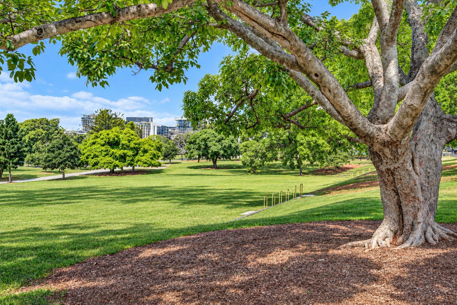 1/66 Manning Street — photo 15 of 23