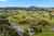 2753 State Highway 1 photo 4