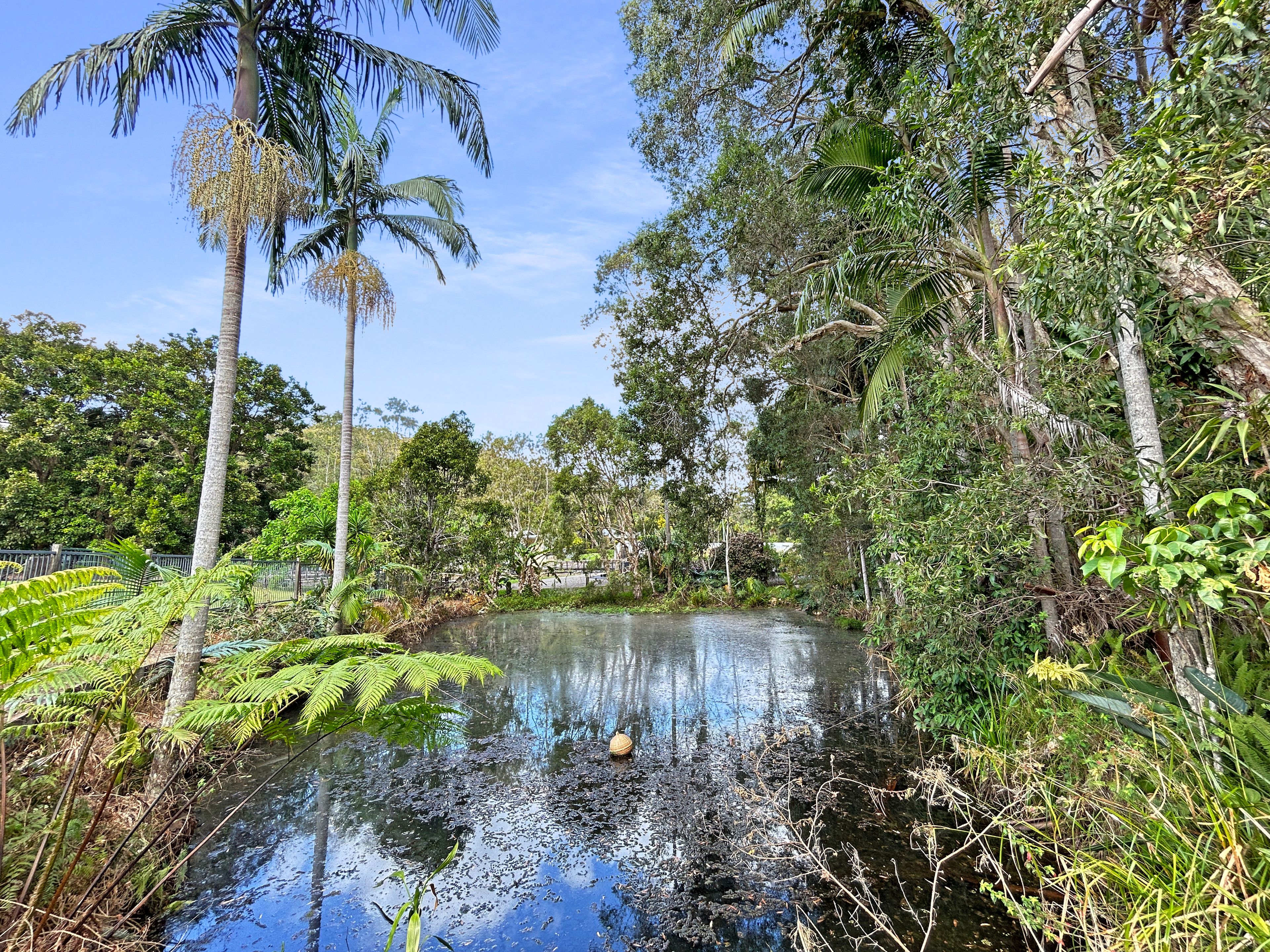 85 Dales Road, Chevallum, QLD 4555