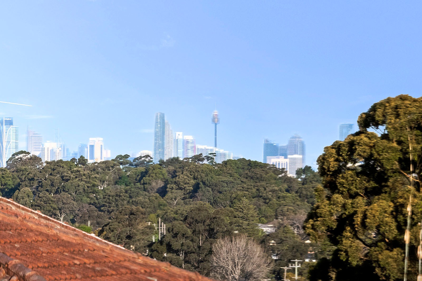 49a Abuklea Road, Marsfield, NSW 2122